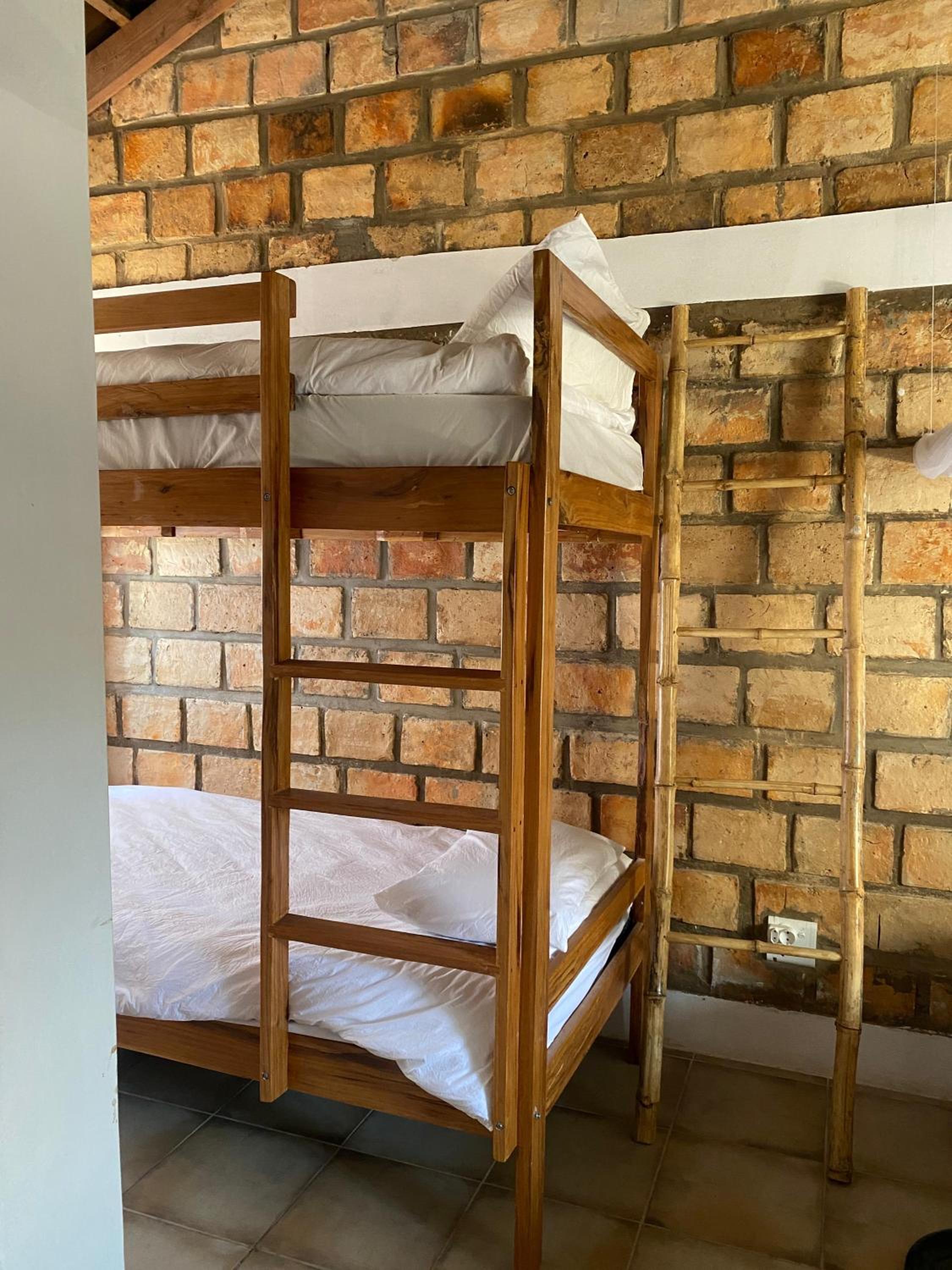 Single Bed in Mixed Dormitory Room photo 3