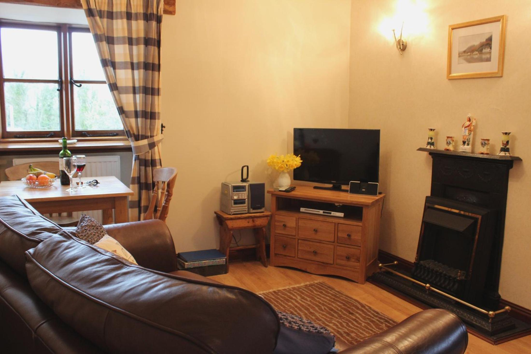 Deluxe One-Bedroom Apartment