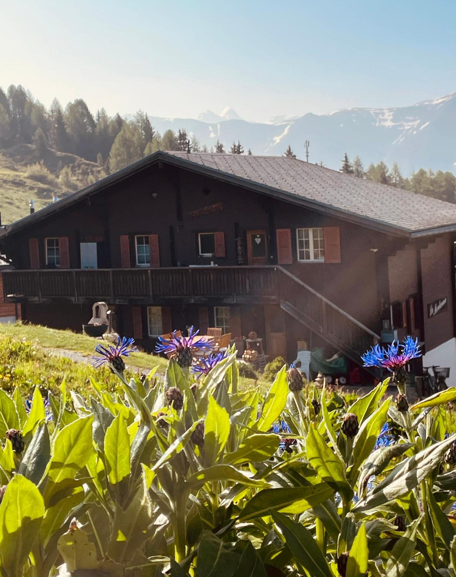 Two-Bedroom Apartment with Mountain View photo 2