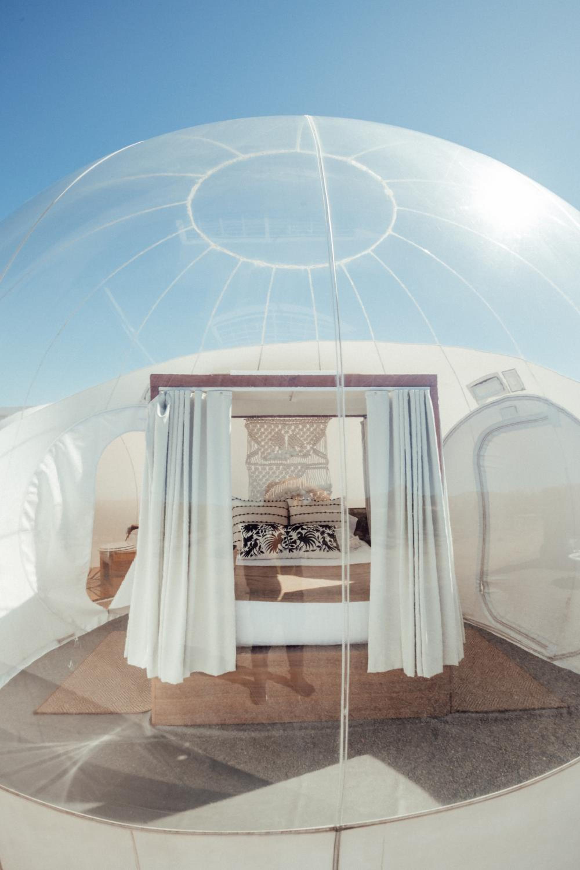 Bubble Room  photo 1