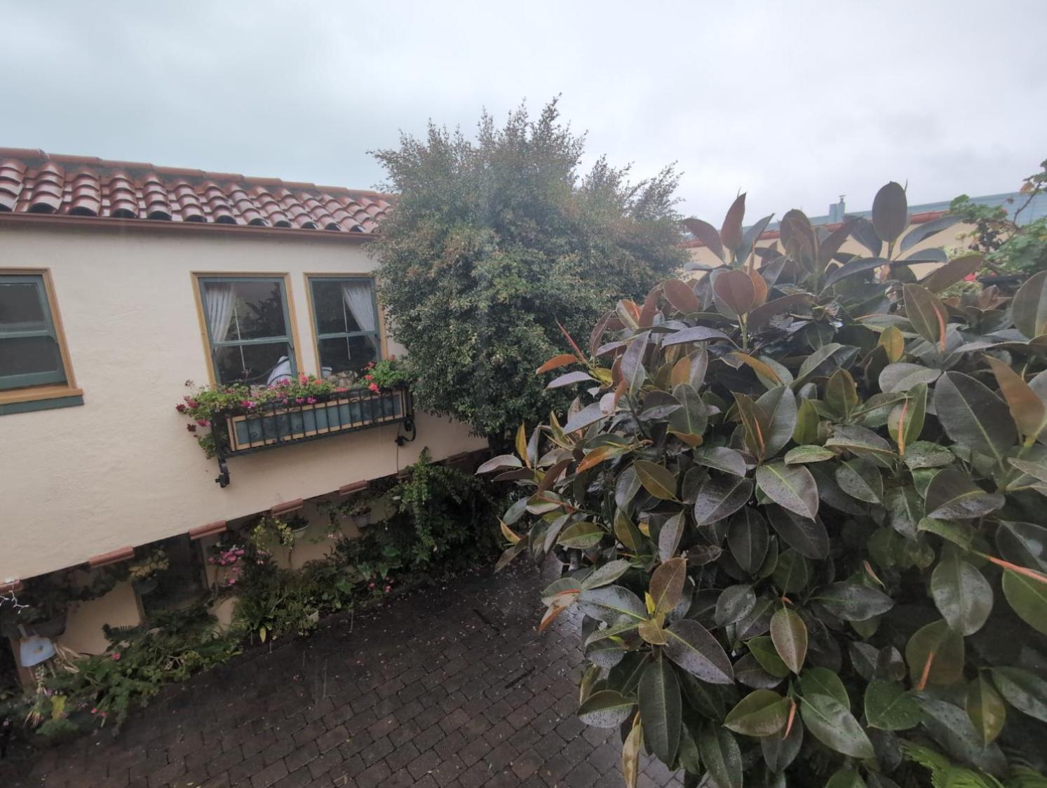 Street Facing Queen Studio (Dog Friendly)