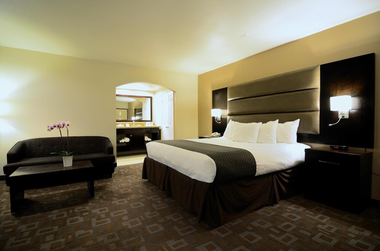 Deluxe King Suite - Non-Smoking - Photo 5