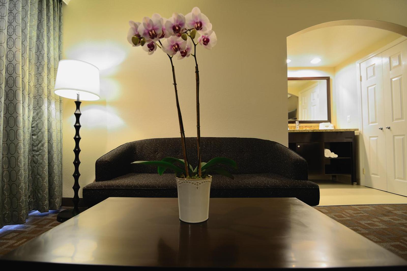 Deluxe King Suite - Non-Smoking - Photo 6