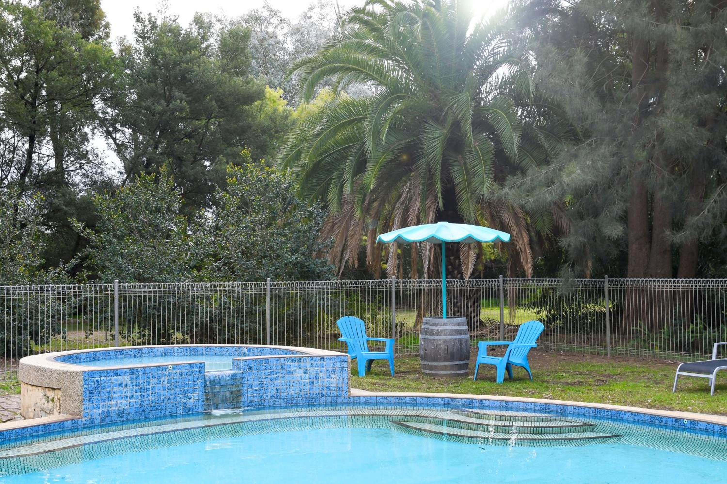 Pet Friendly King Room