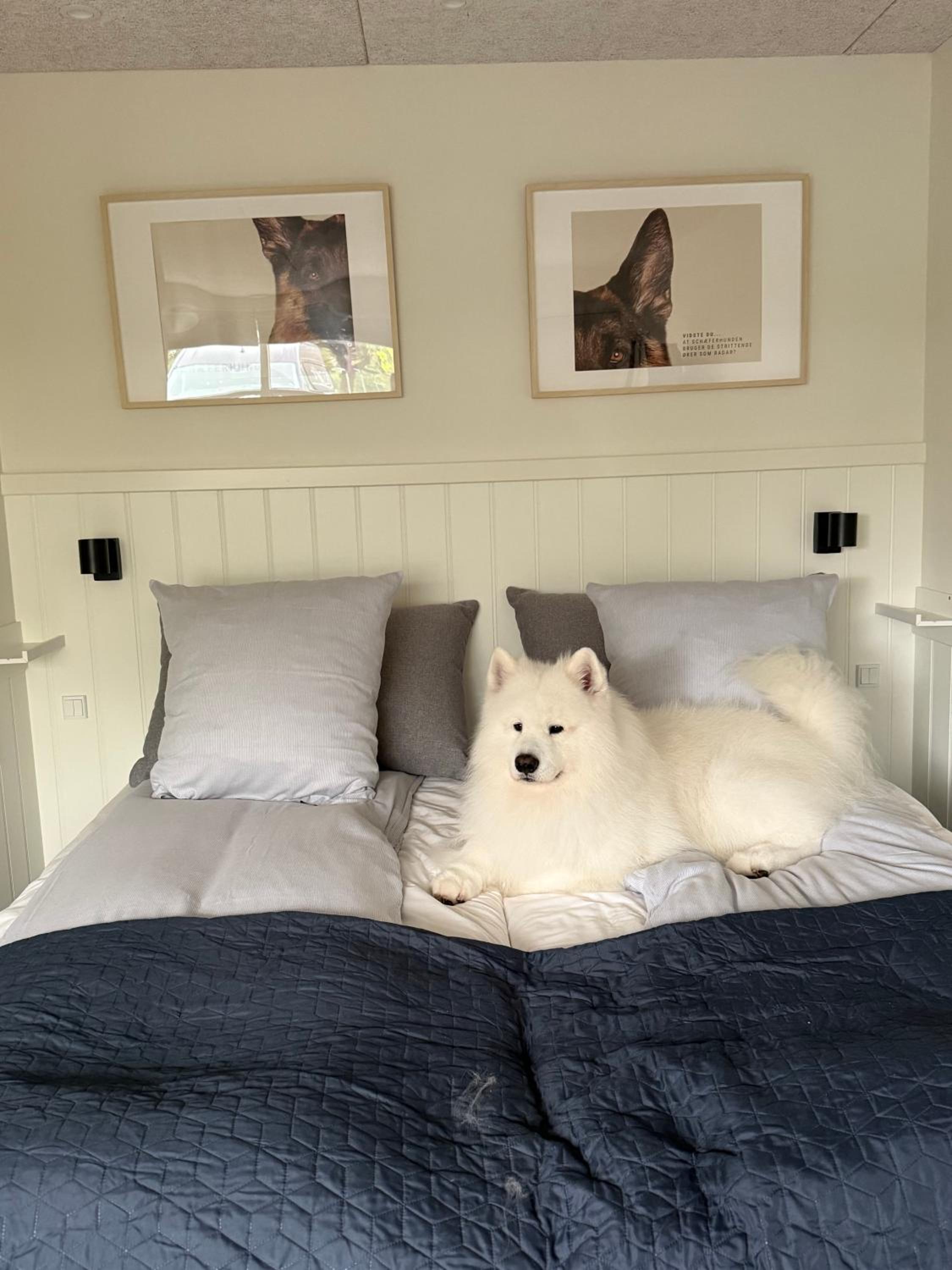 Double Room with Terrace - Photo 13