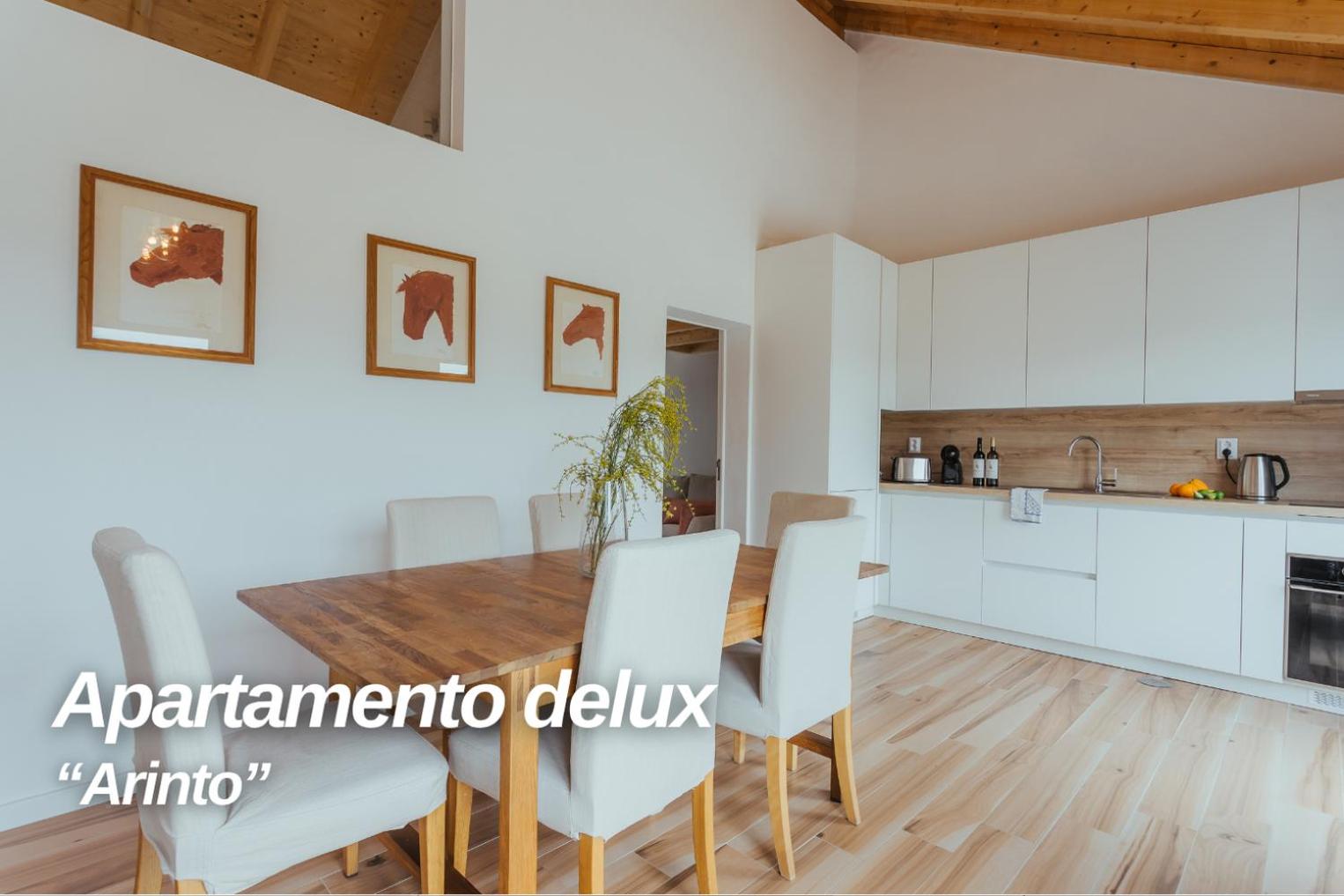 Two-Bedroom Deluxe Apartment