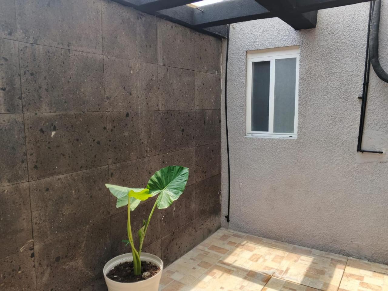 Double Room with Patio