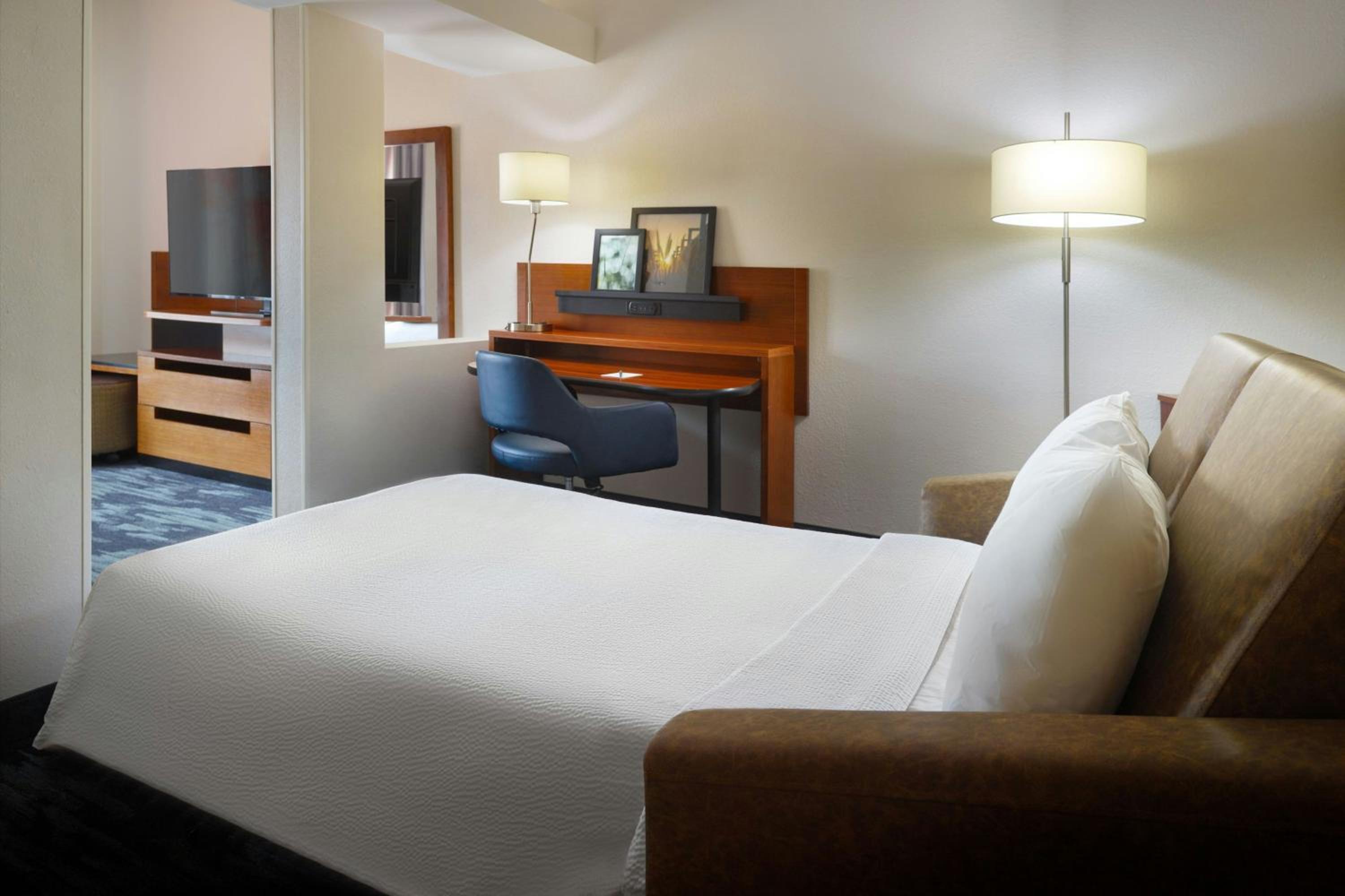 Executive King Suite with Sofa Bed and Tub - Mobility/Hearing Accessible - Photo 5