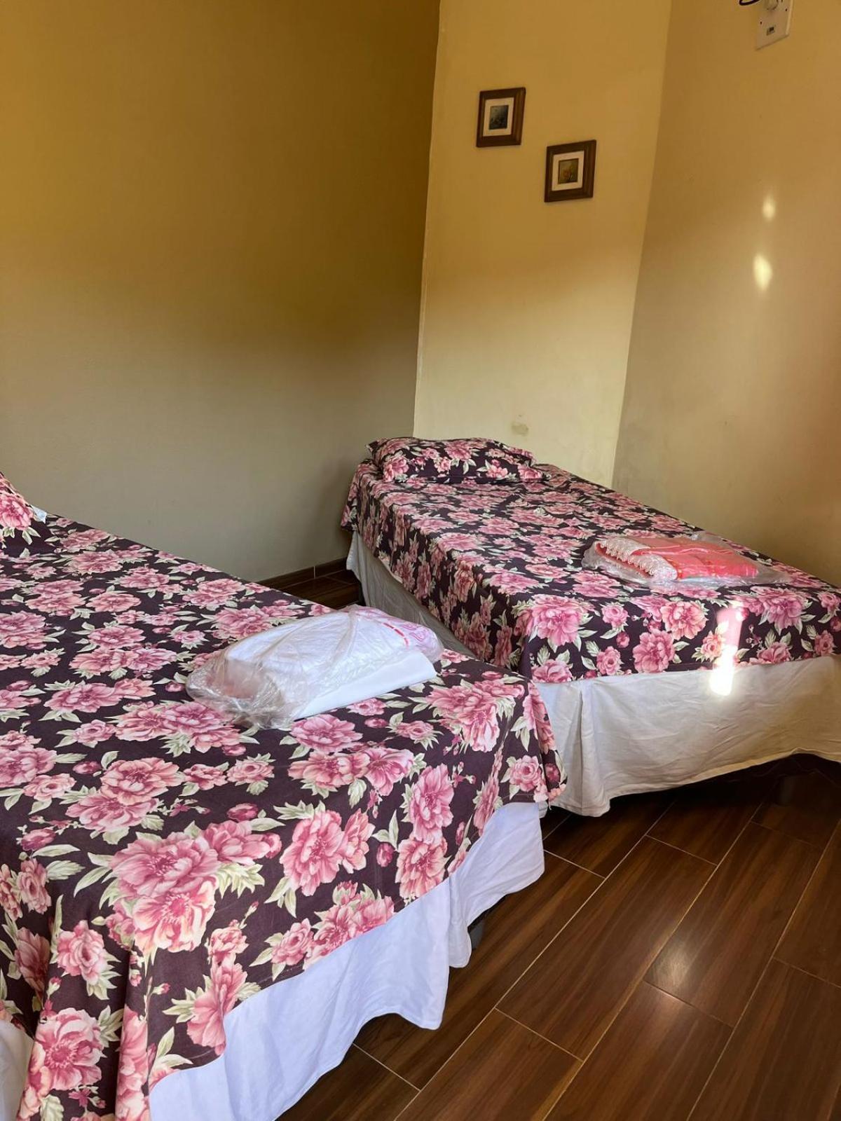 Large Twin Room photo 3