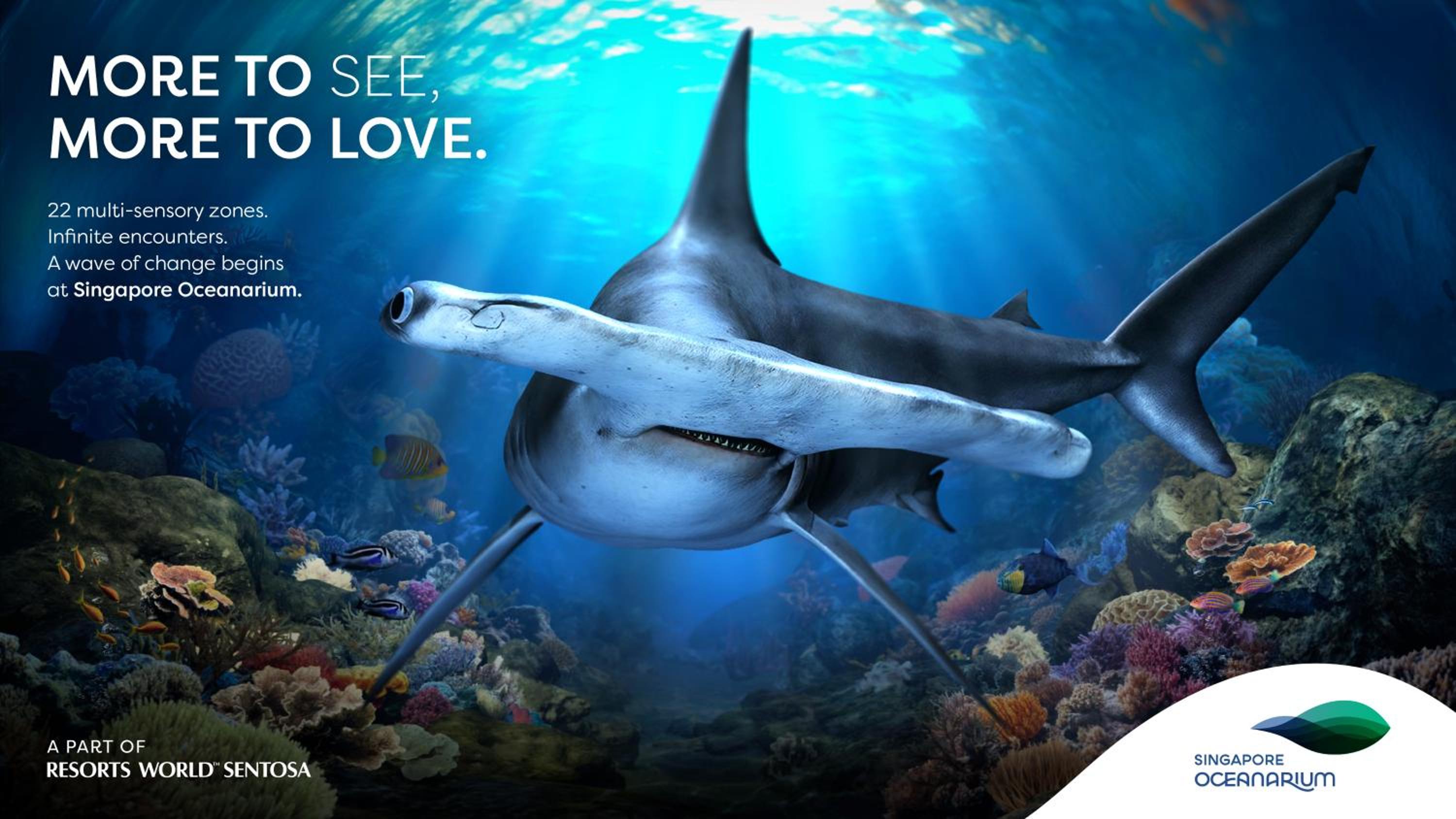 3D2N Seas The Day Package - Deluxe Room with complimentary One-Day Tickets for 2 People to Singapore Oceanarium photo 2