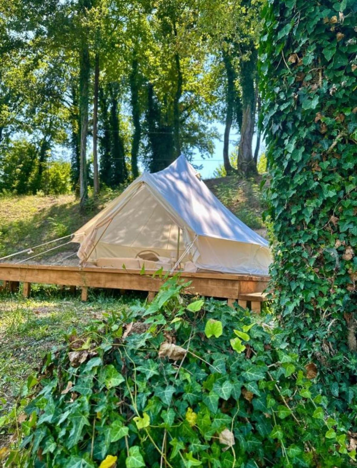 Glamping Tent photo 2