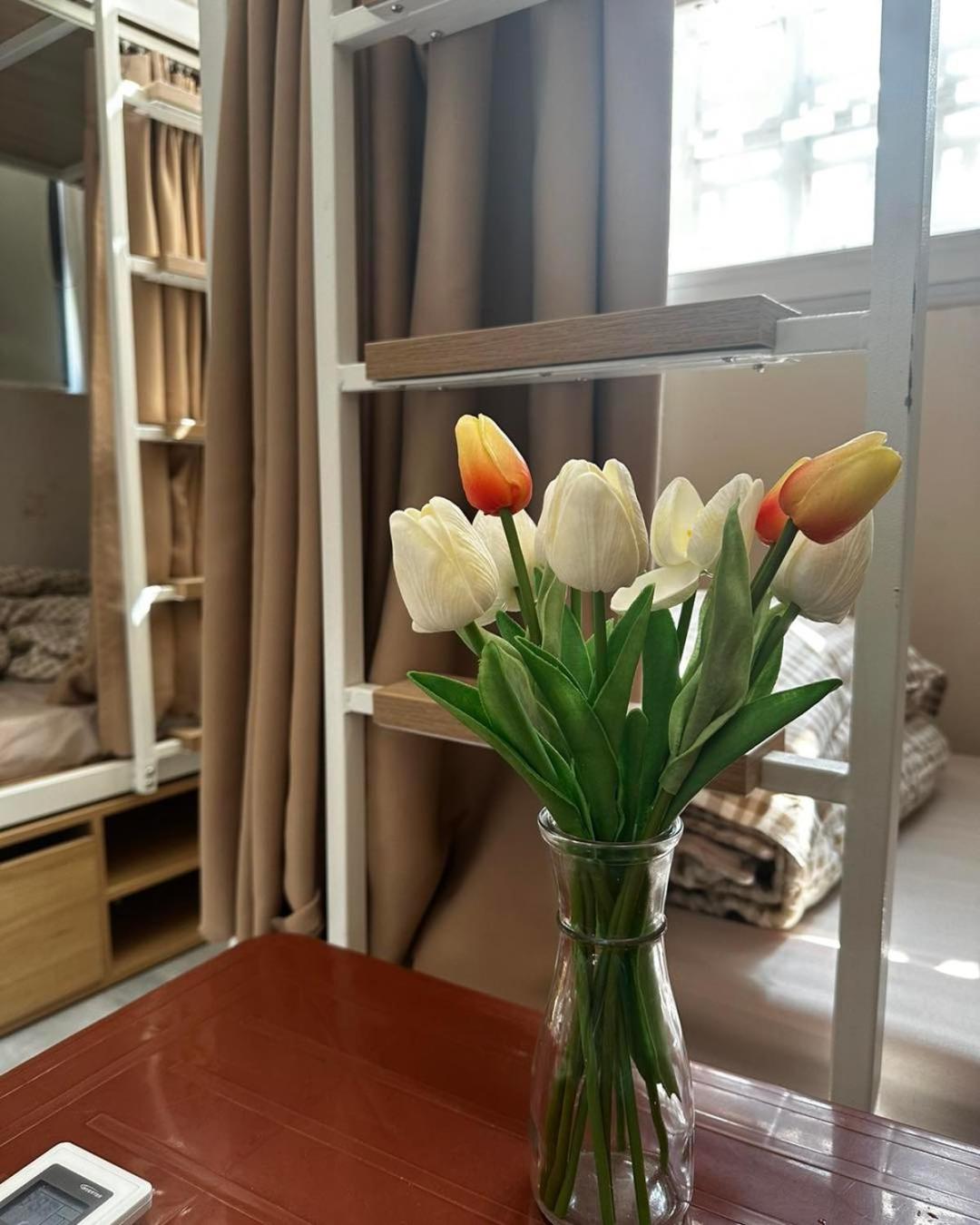 6-Bed Mixed Dormitory Room