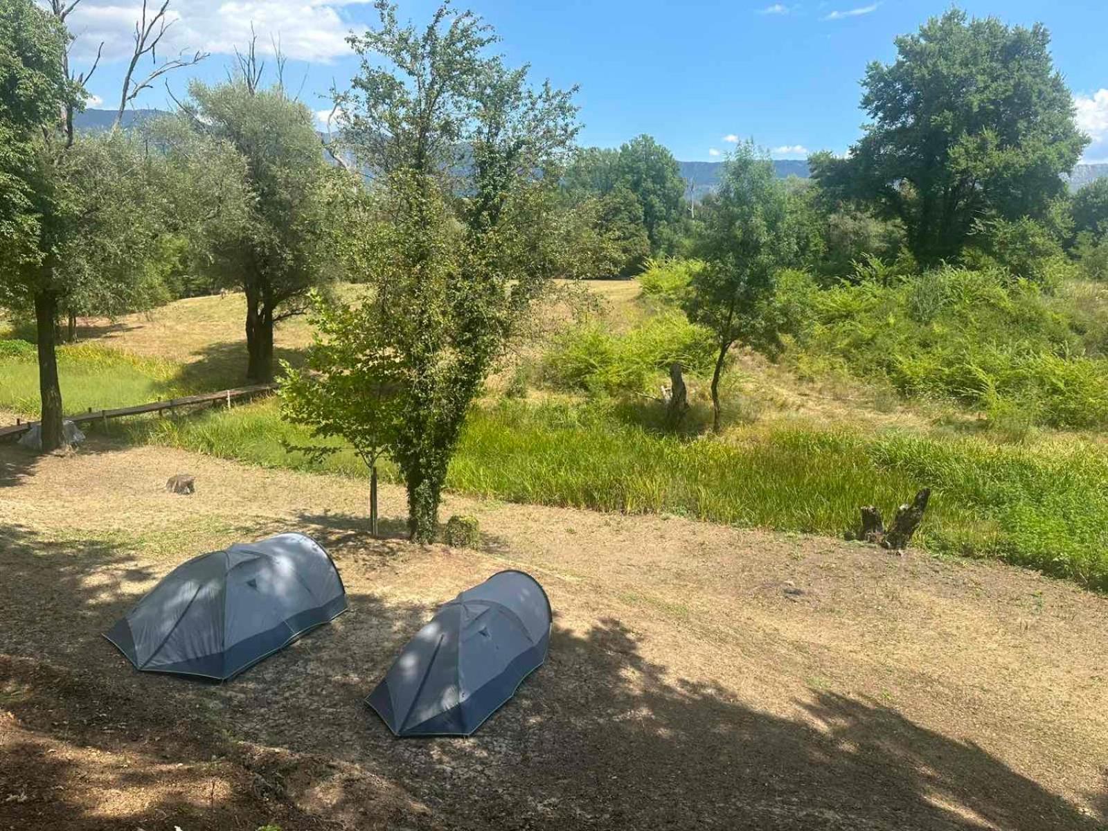 Basic Tent photo 3