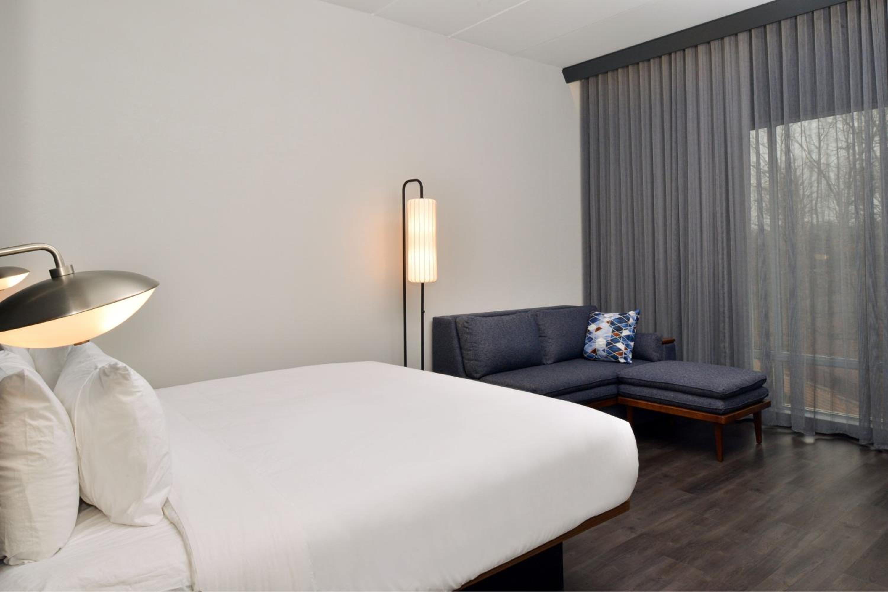 King Room with Roll-In Shower and Sofa Bed - Mobility Access