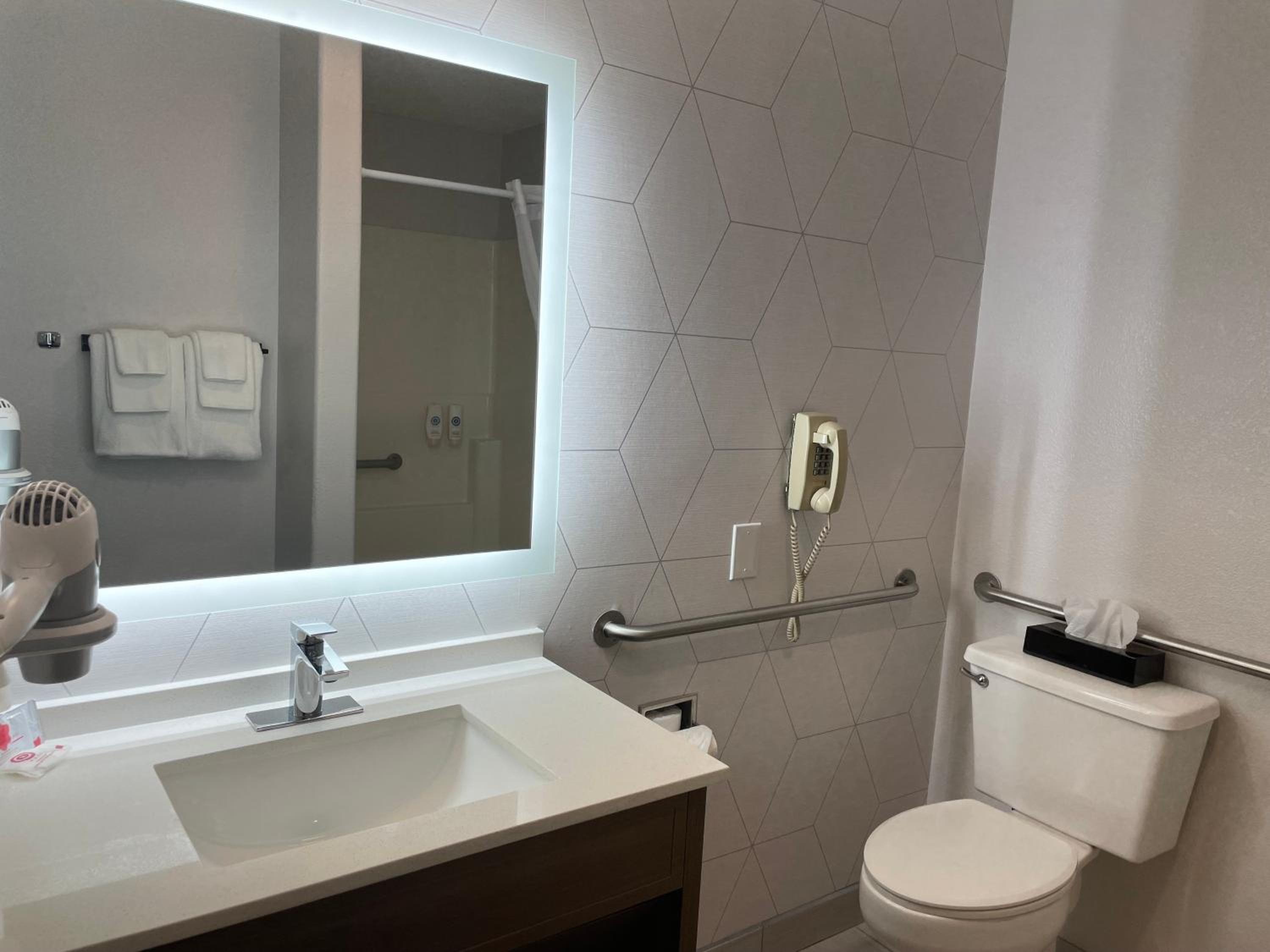 Efficiency Queen Room with Mobility and Hearing Access - Non-Smoking - Photo 6