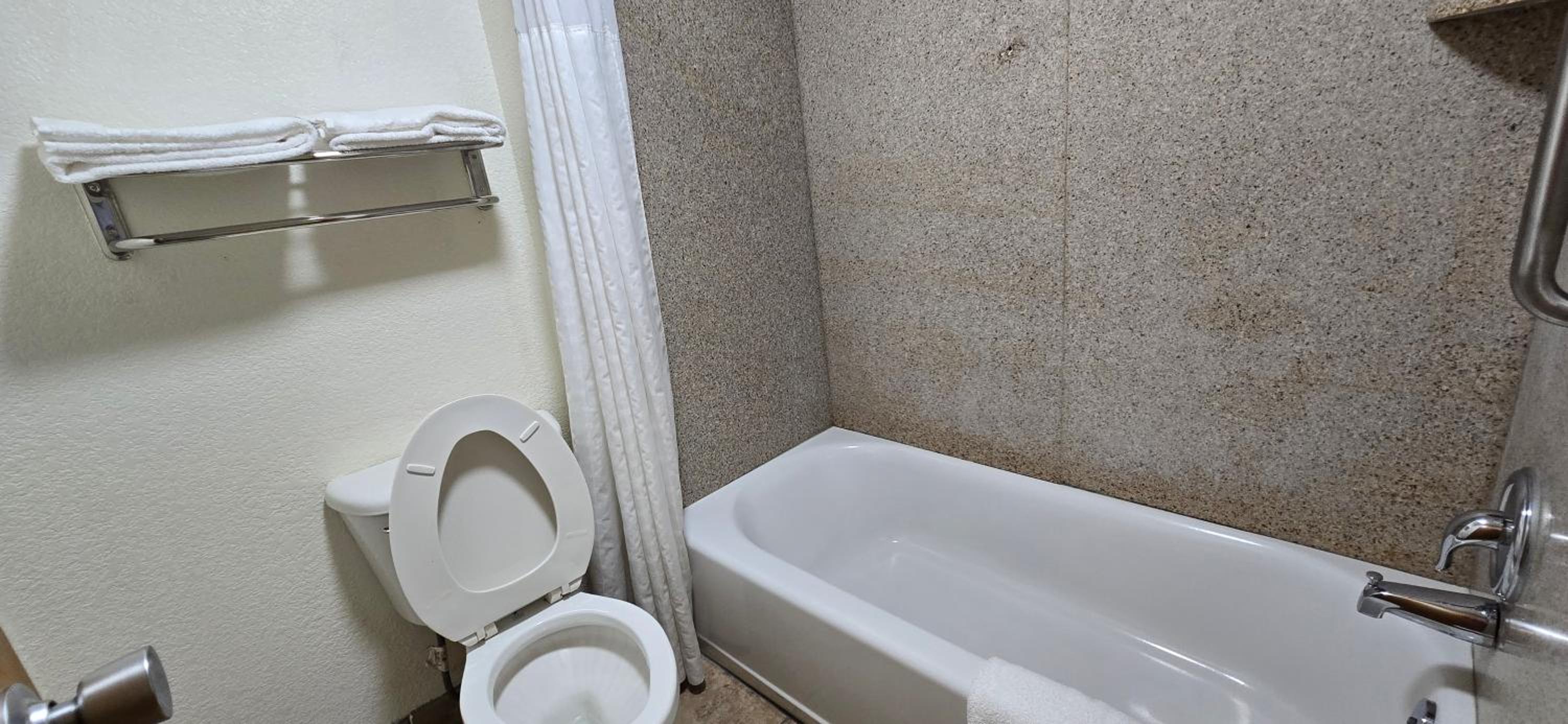 1 King Bed, Mobility/Hearing Impaired Accessible Room, Smoking - Photo 4
