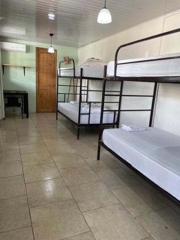 Classic Quadruple Room