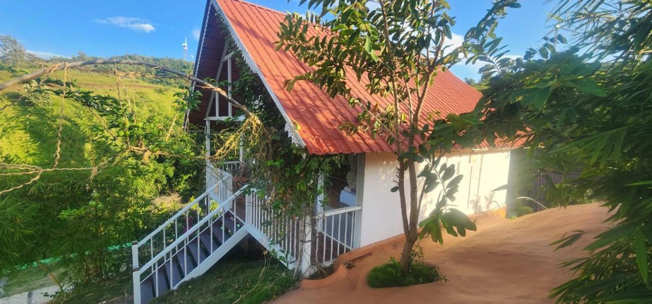 Superior Villa photo 1