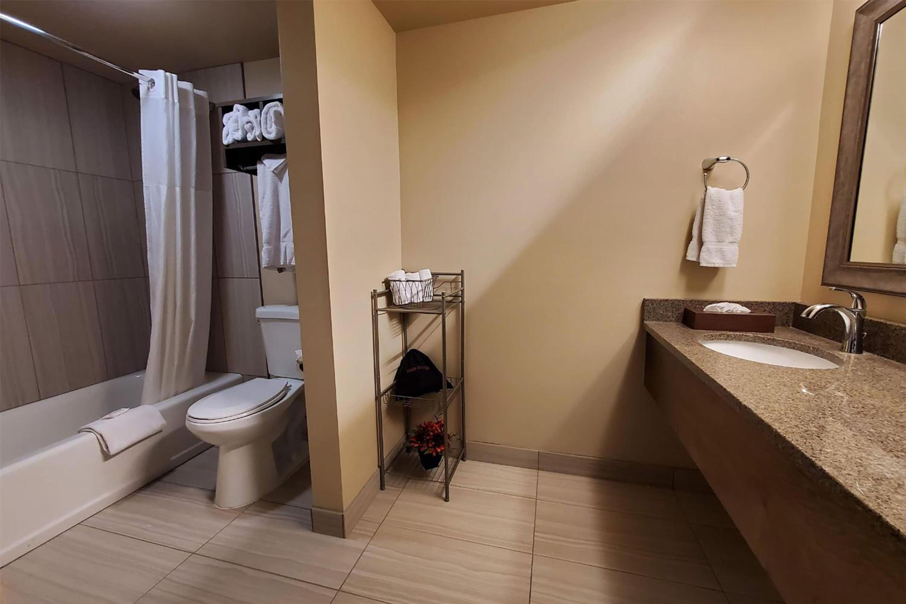 Premier King Suite - Non-Smoking - Photo 3