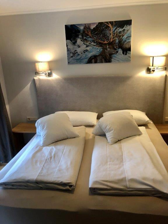 Single Room with Mountain View