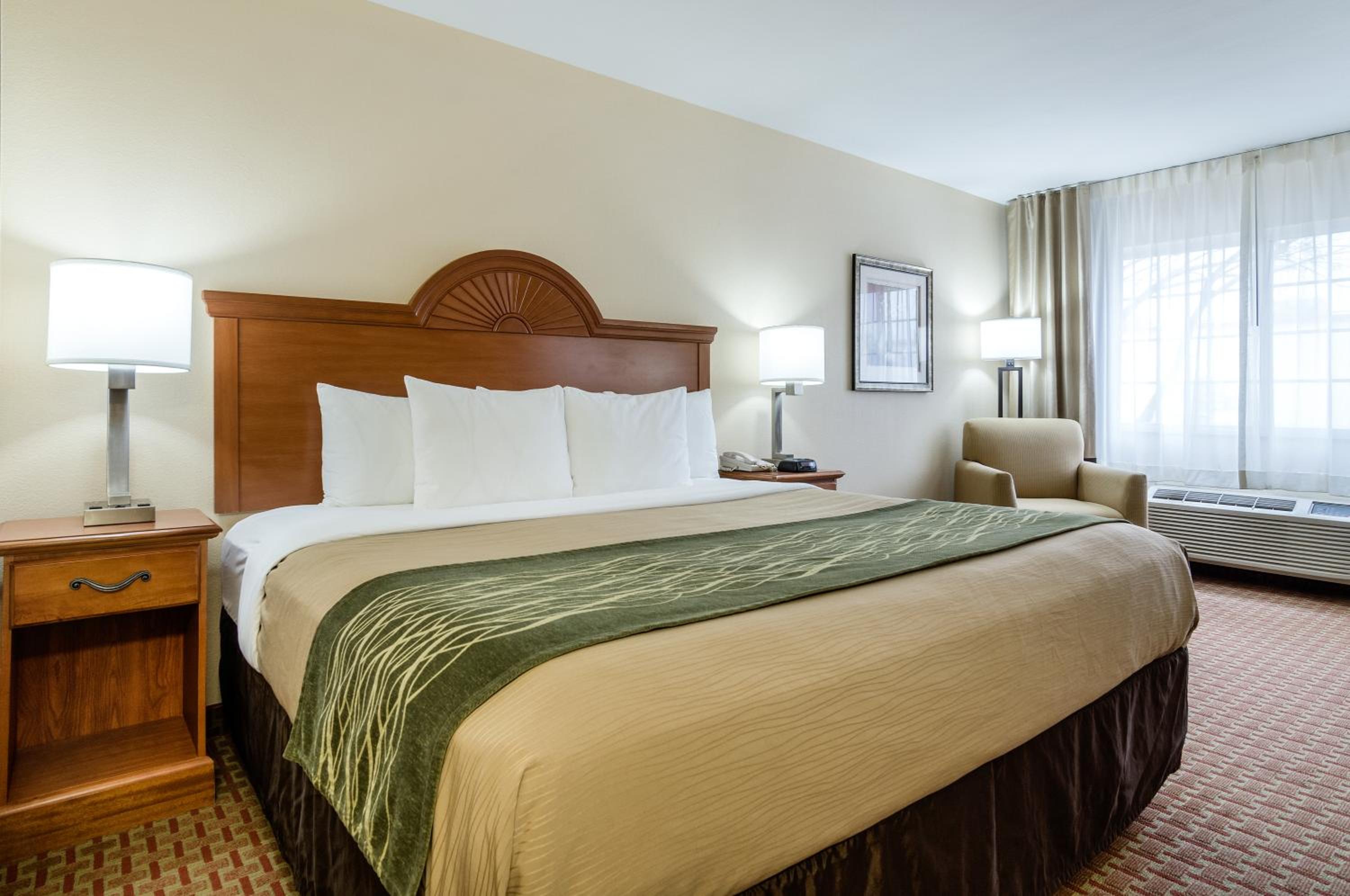 Deluxe King Room - Mobility Access/Non-Smoking - Photo 1