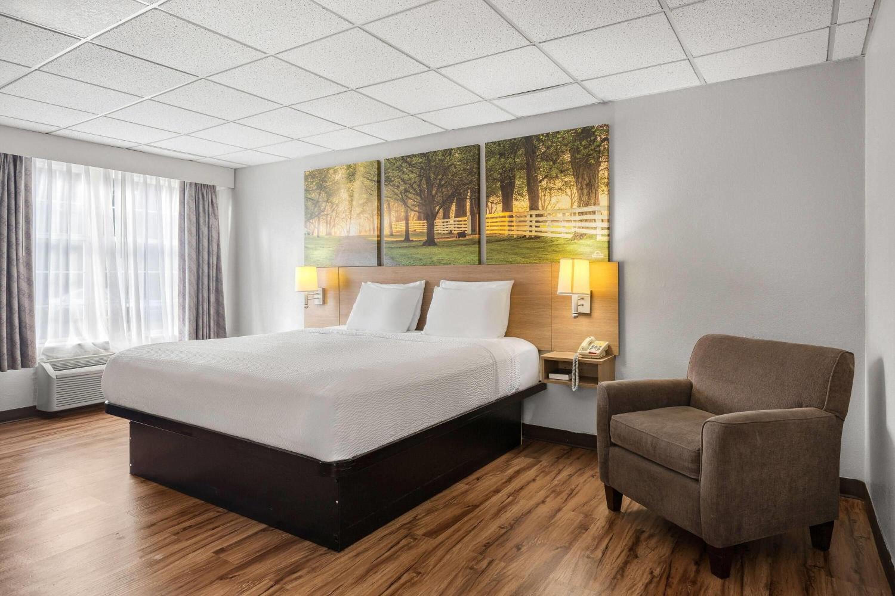 1 King Bed, Accessible Room, Non-Smoking photo 3