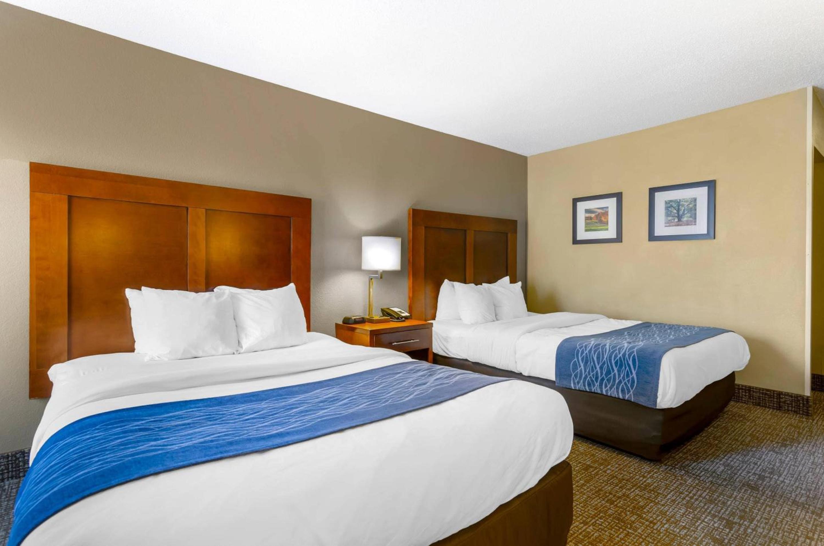 Queen Room with Two Queen Beds - Non-Smoking - Photo 3