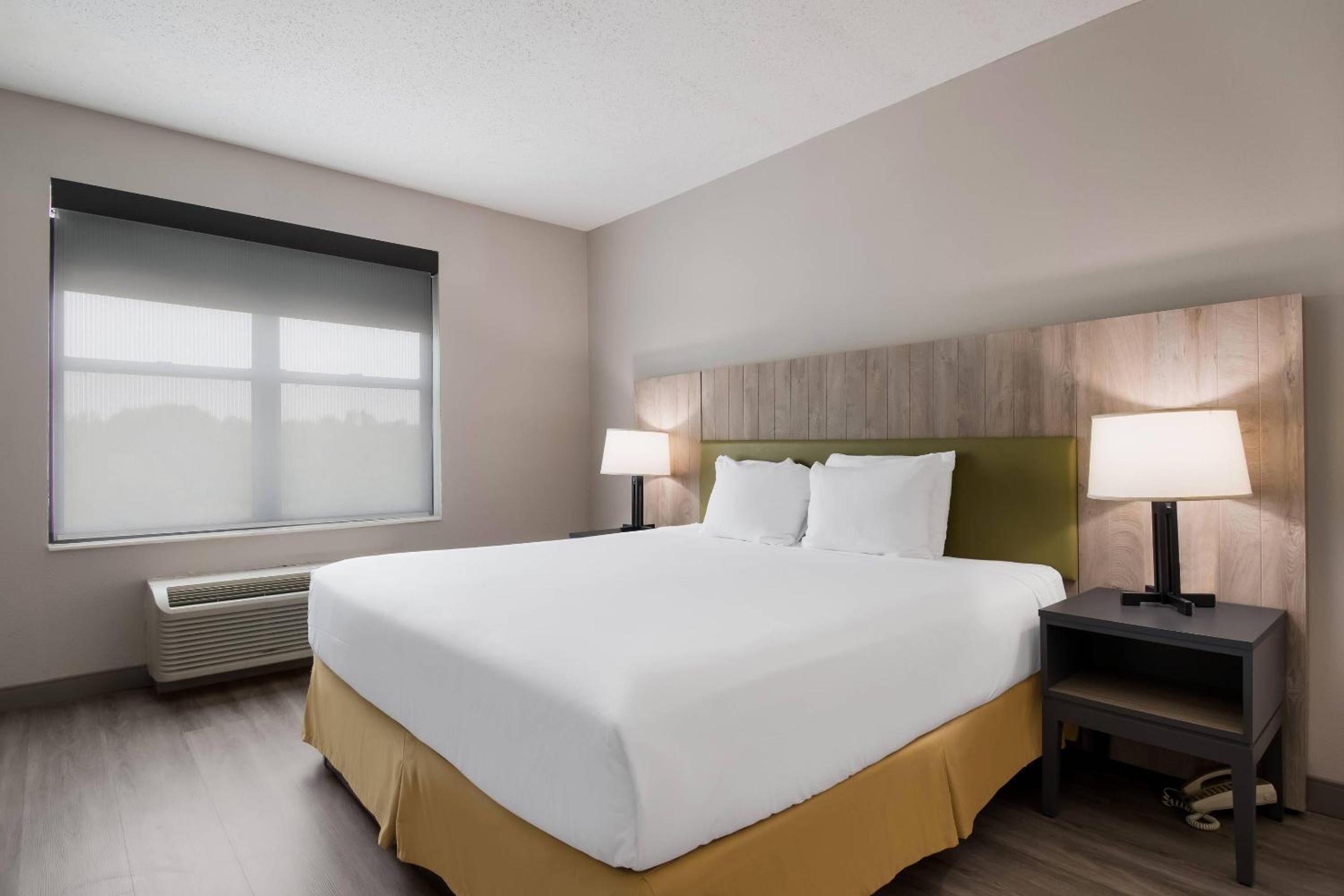 One-Bedroom King Suite - Photo 5
