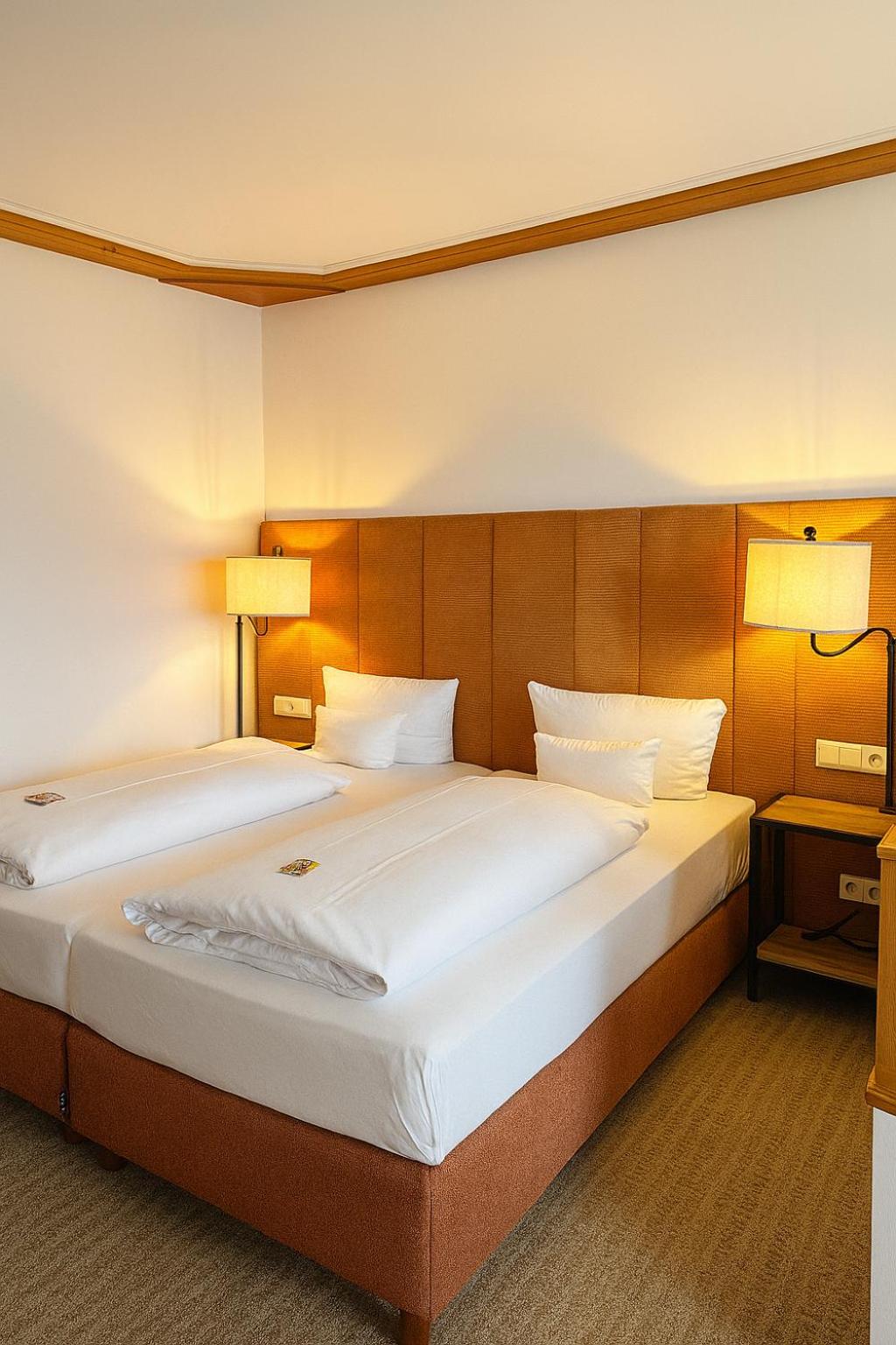 Deluxe Double or Twin Room with Balcony photo 1