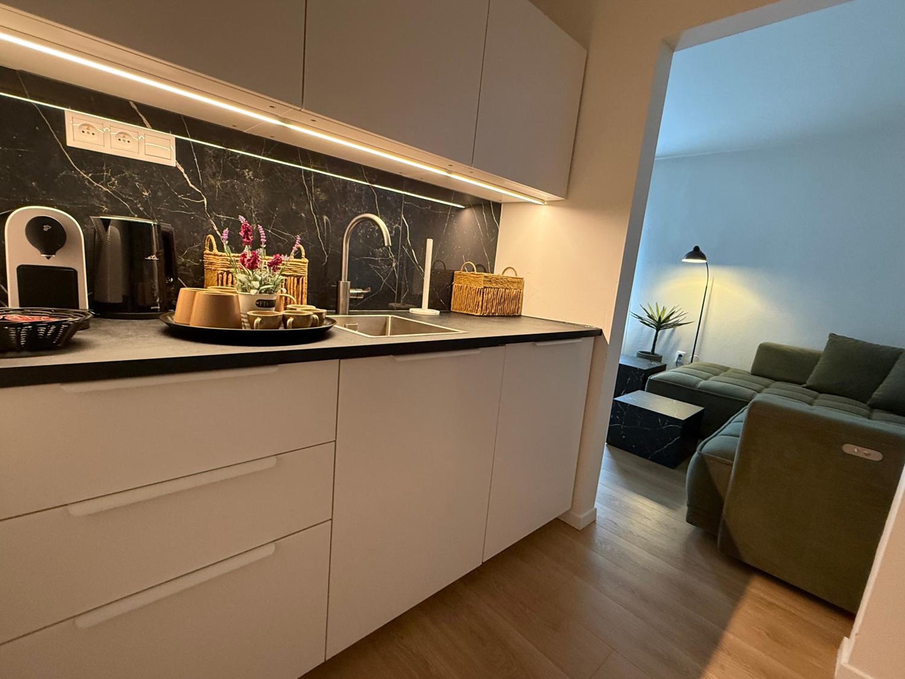 Deluxe One-Bedroom Apartment with Garden View photo 2