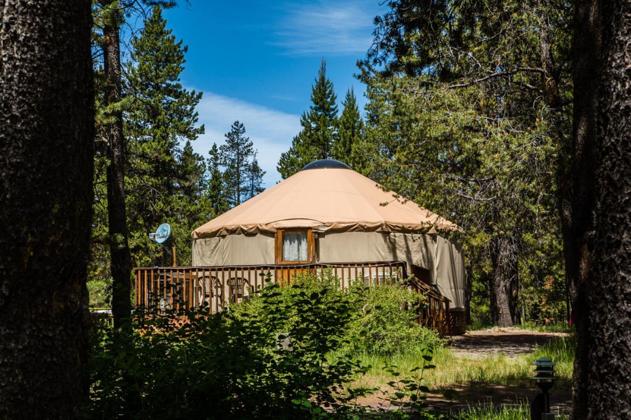 Studio Yurt photo 3