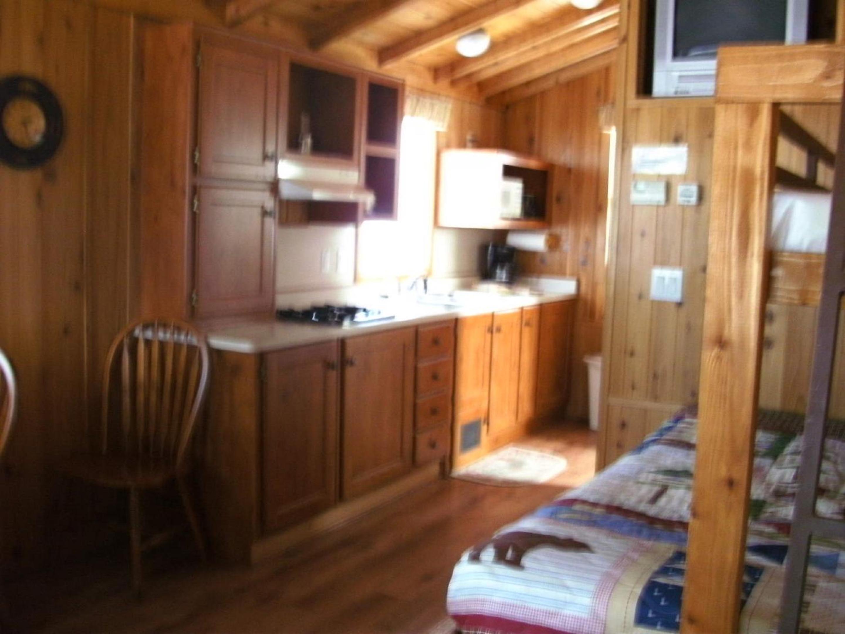 Studio Cabin photo 3