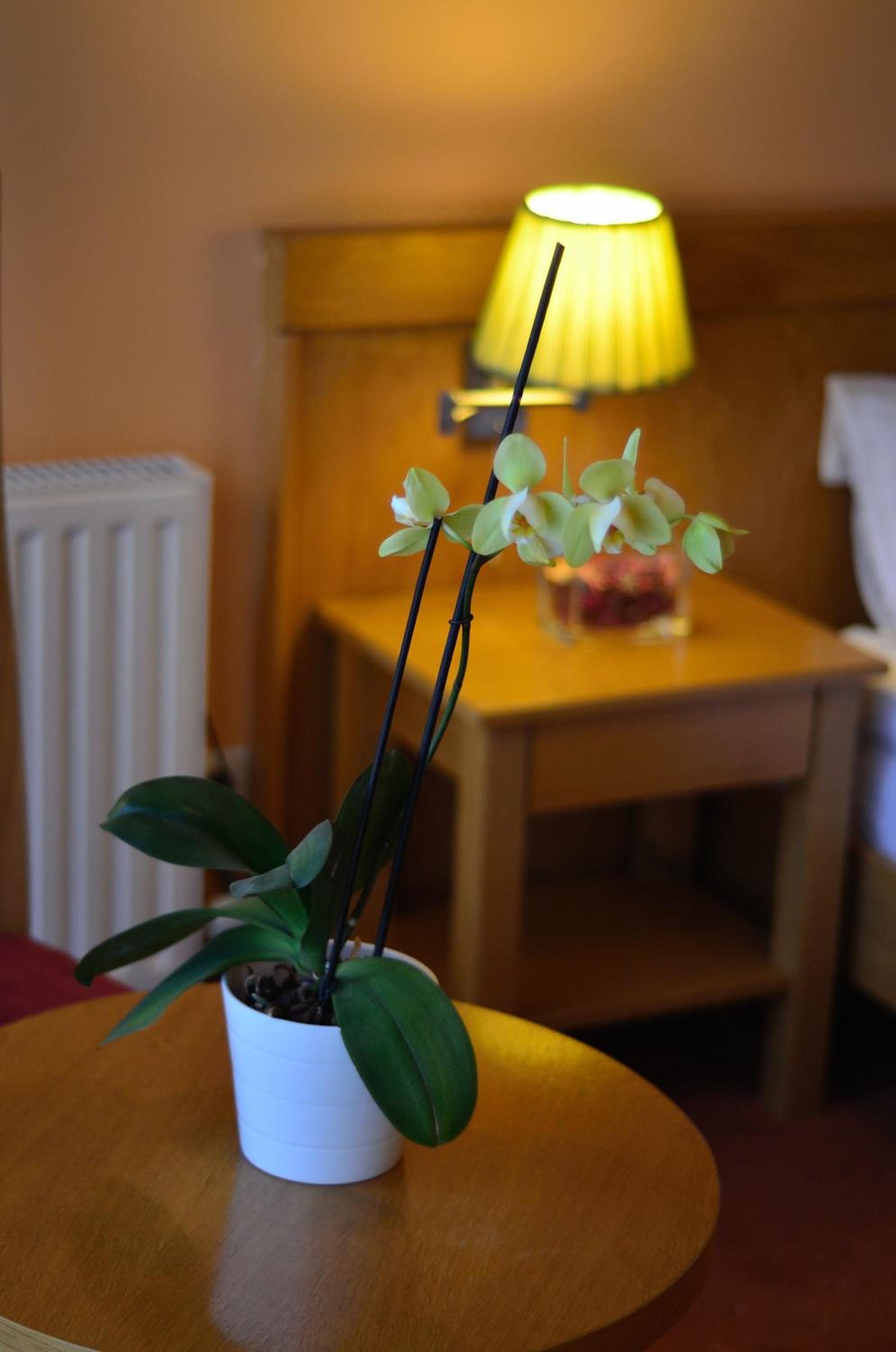 Premium Double or Twin Room - Photo 7