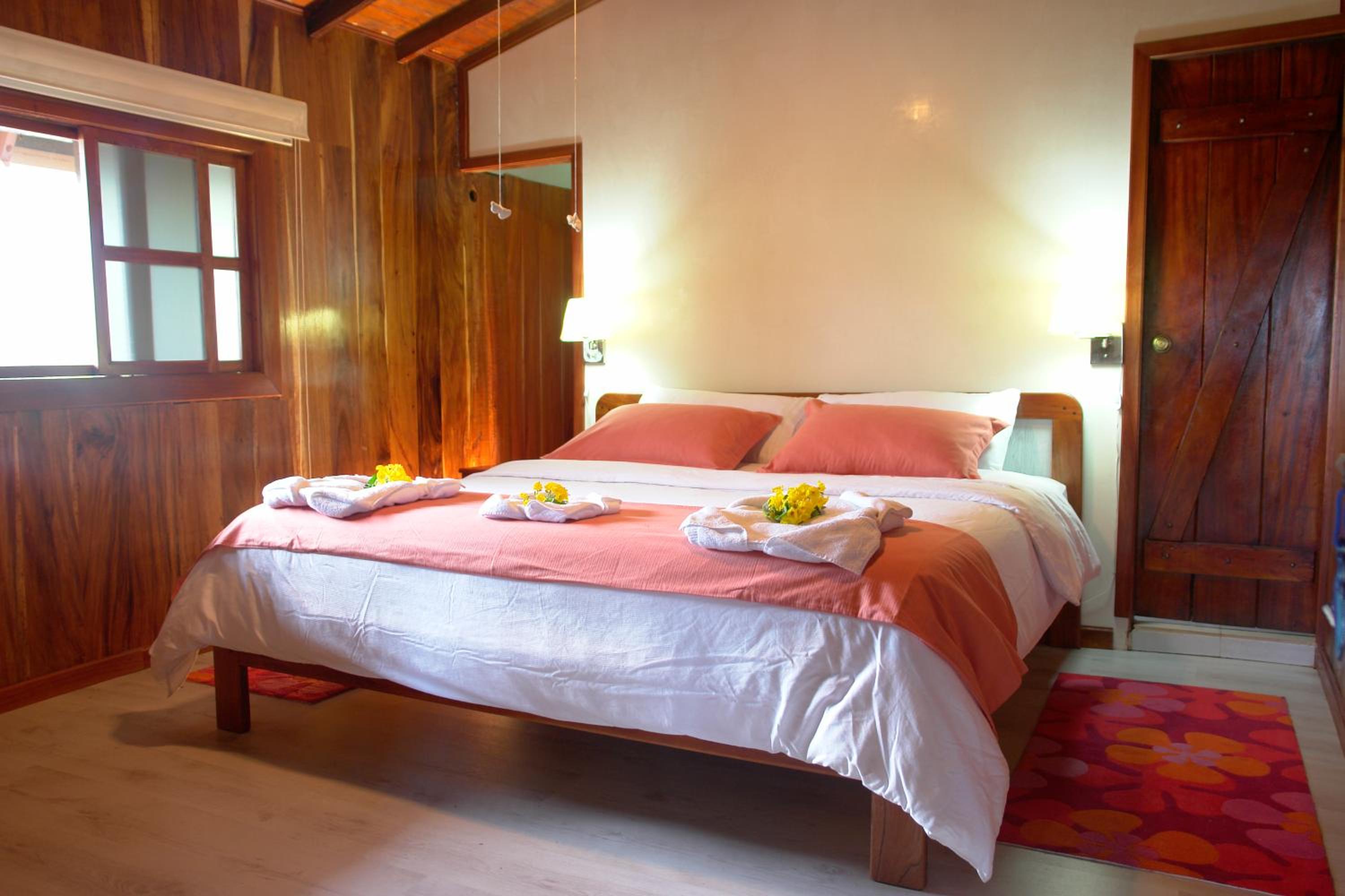Deluxe Double Room photo 2