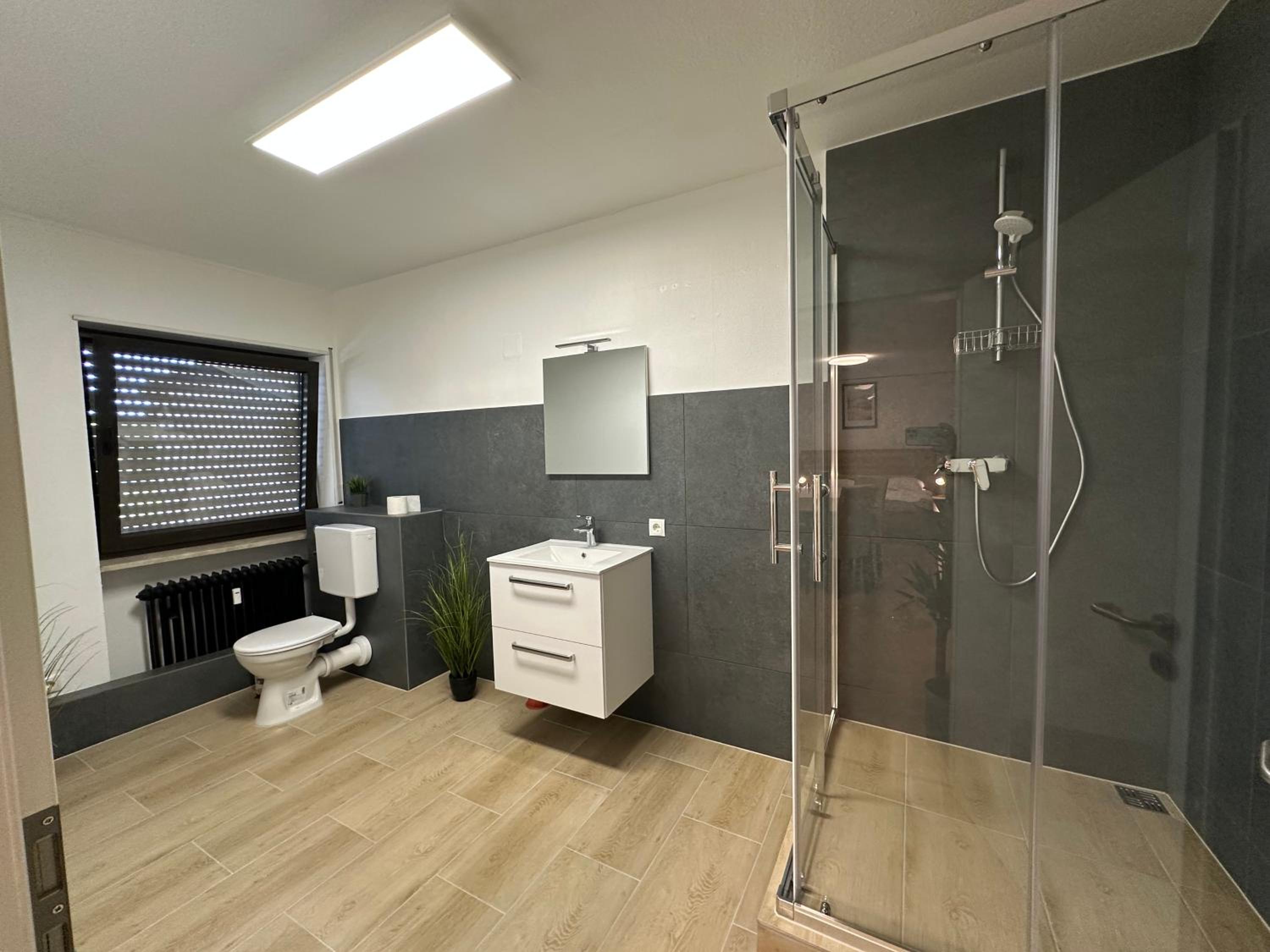 Deluxe One-Bedroom Apartment