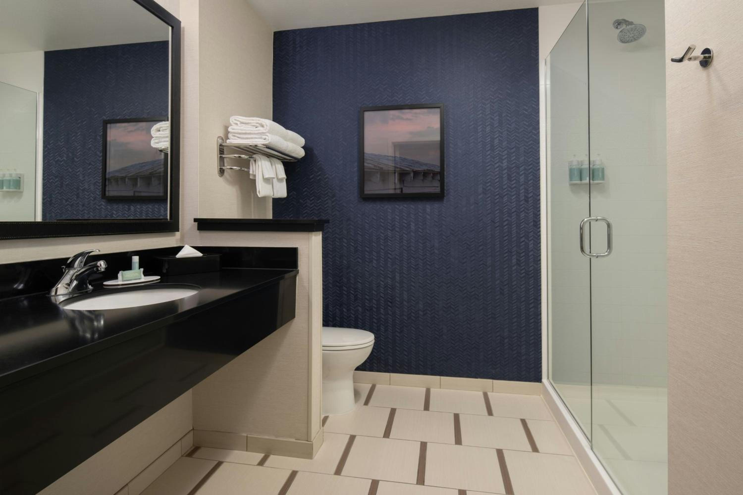 Large King Suite with Sofa Bed and Balcony - Hearing Accessible photo 2