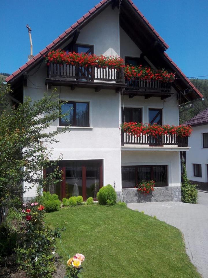 Vacation Home photo 3