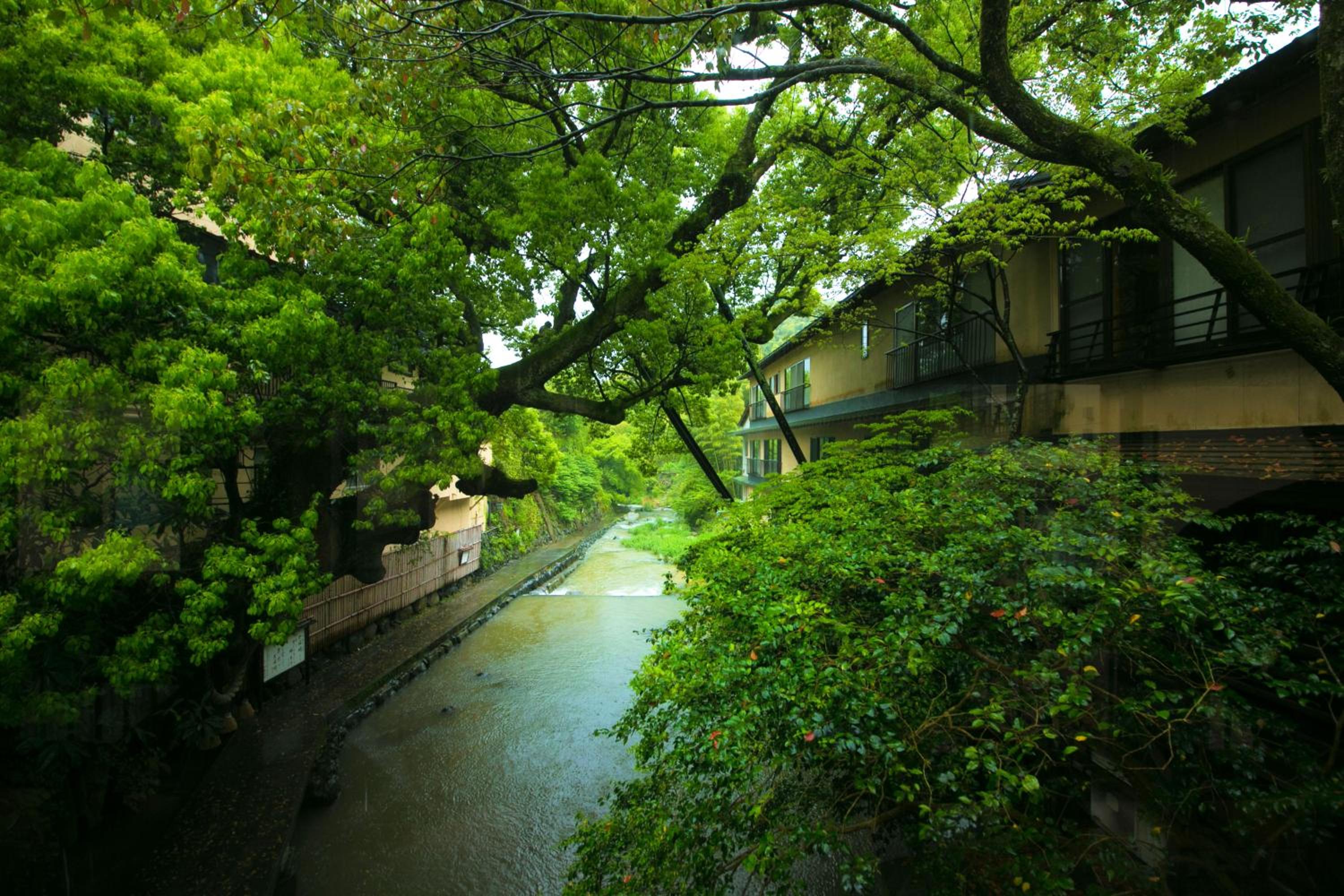 日式双床房(Kajika)