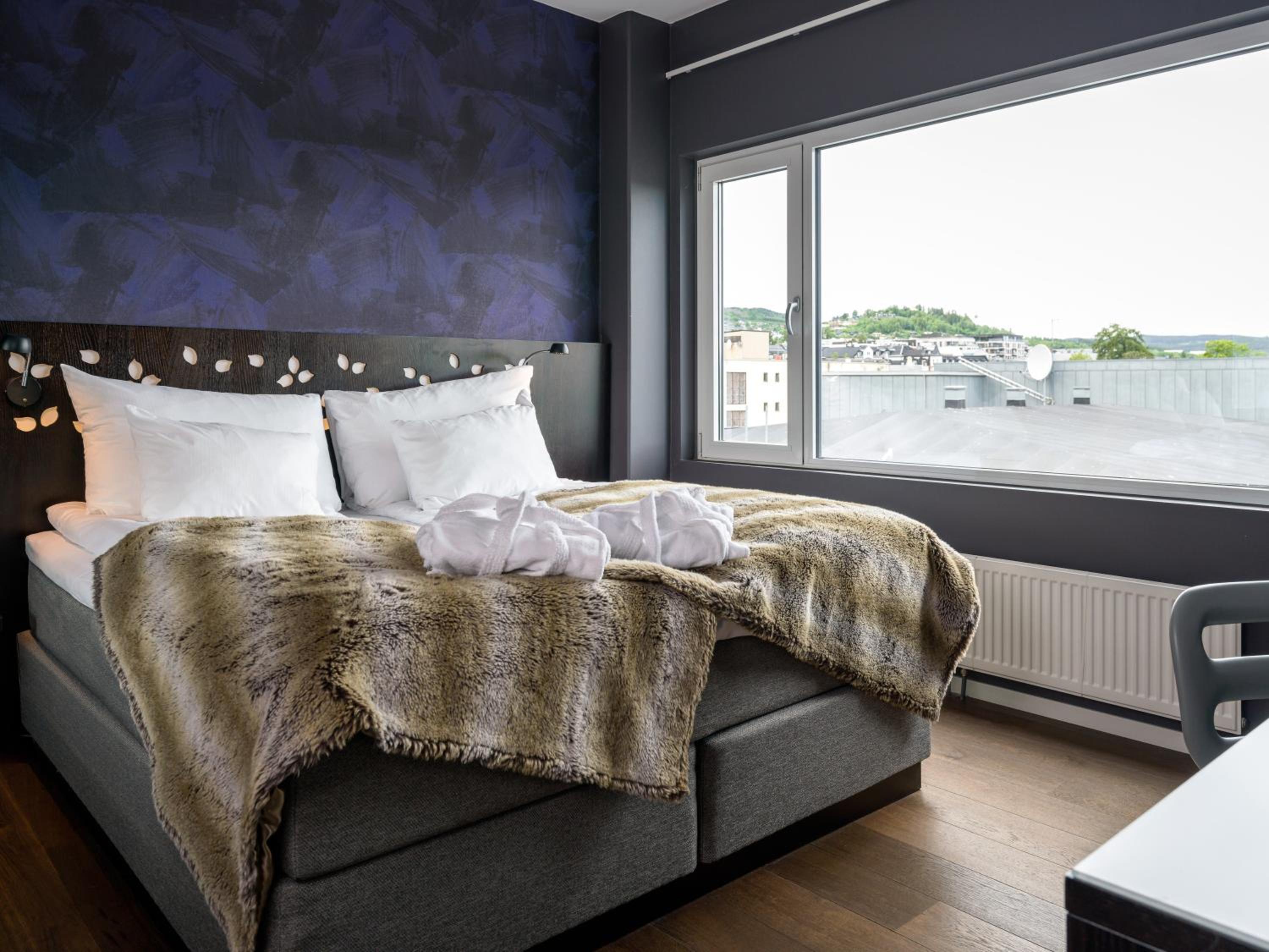 Suite - Photo 2
