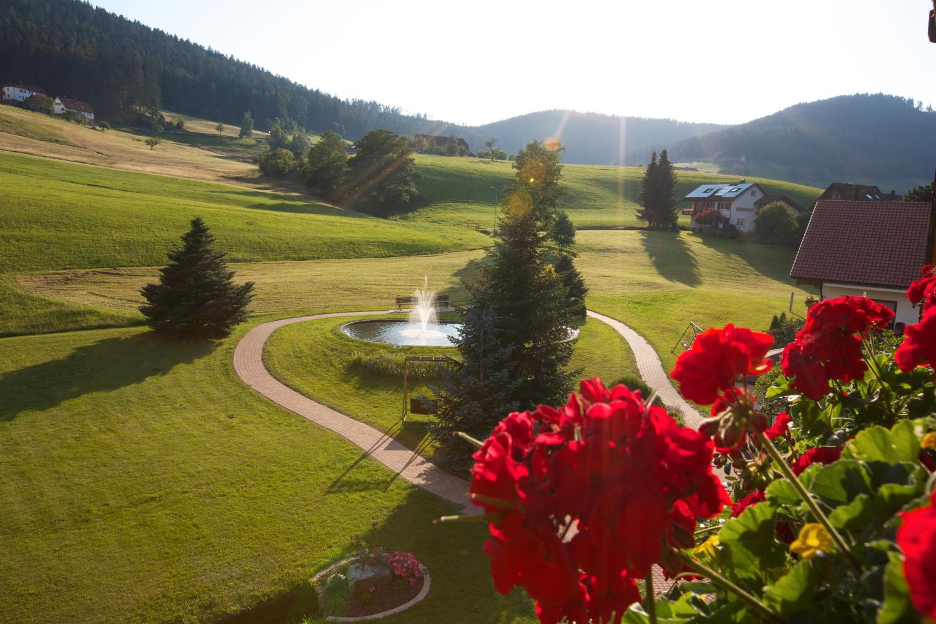 Superior One-Bedroom Apartment with Balcony photo 2