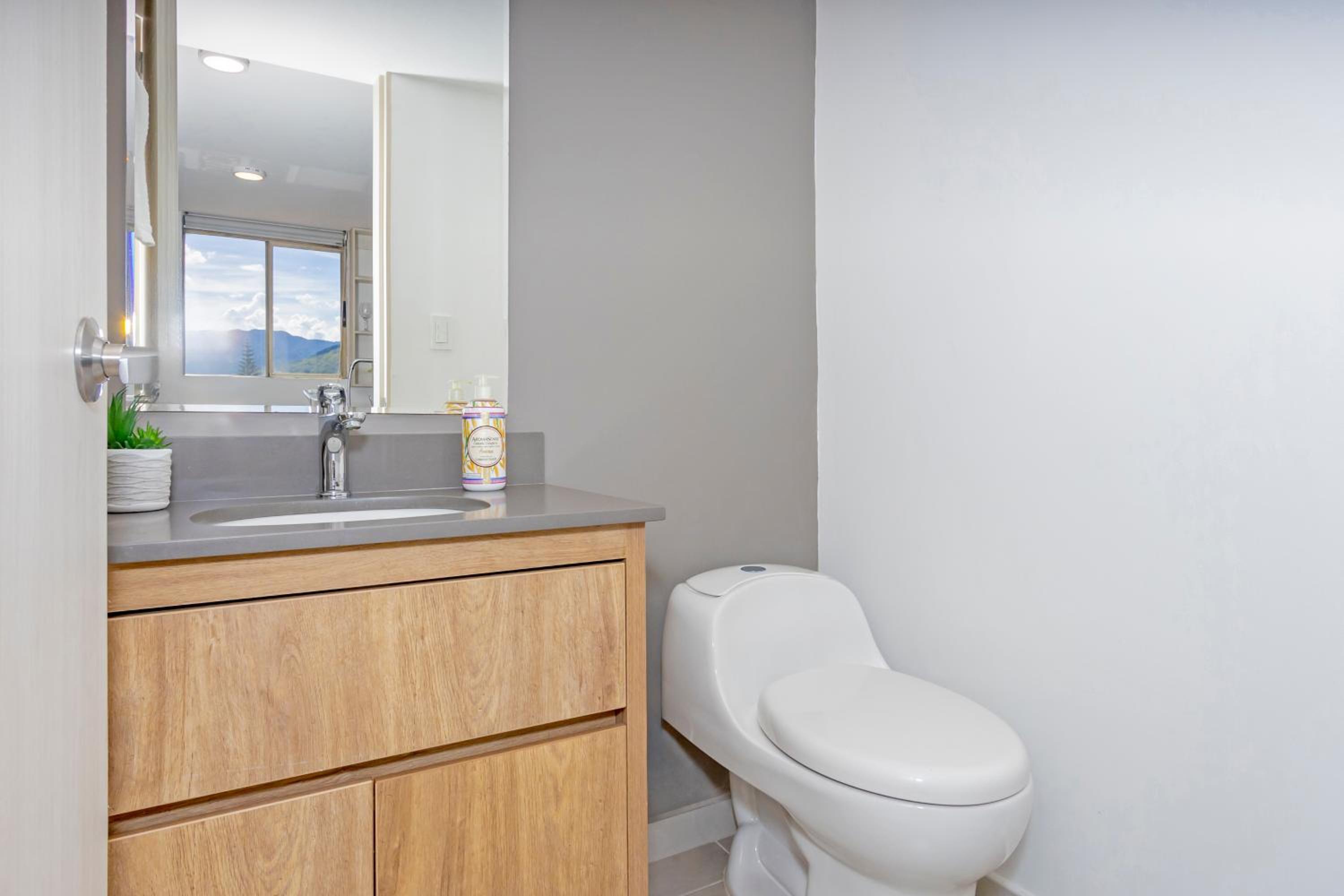 Deluxe One-Bedroom Apartment with City View