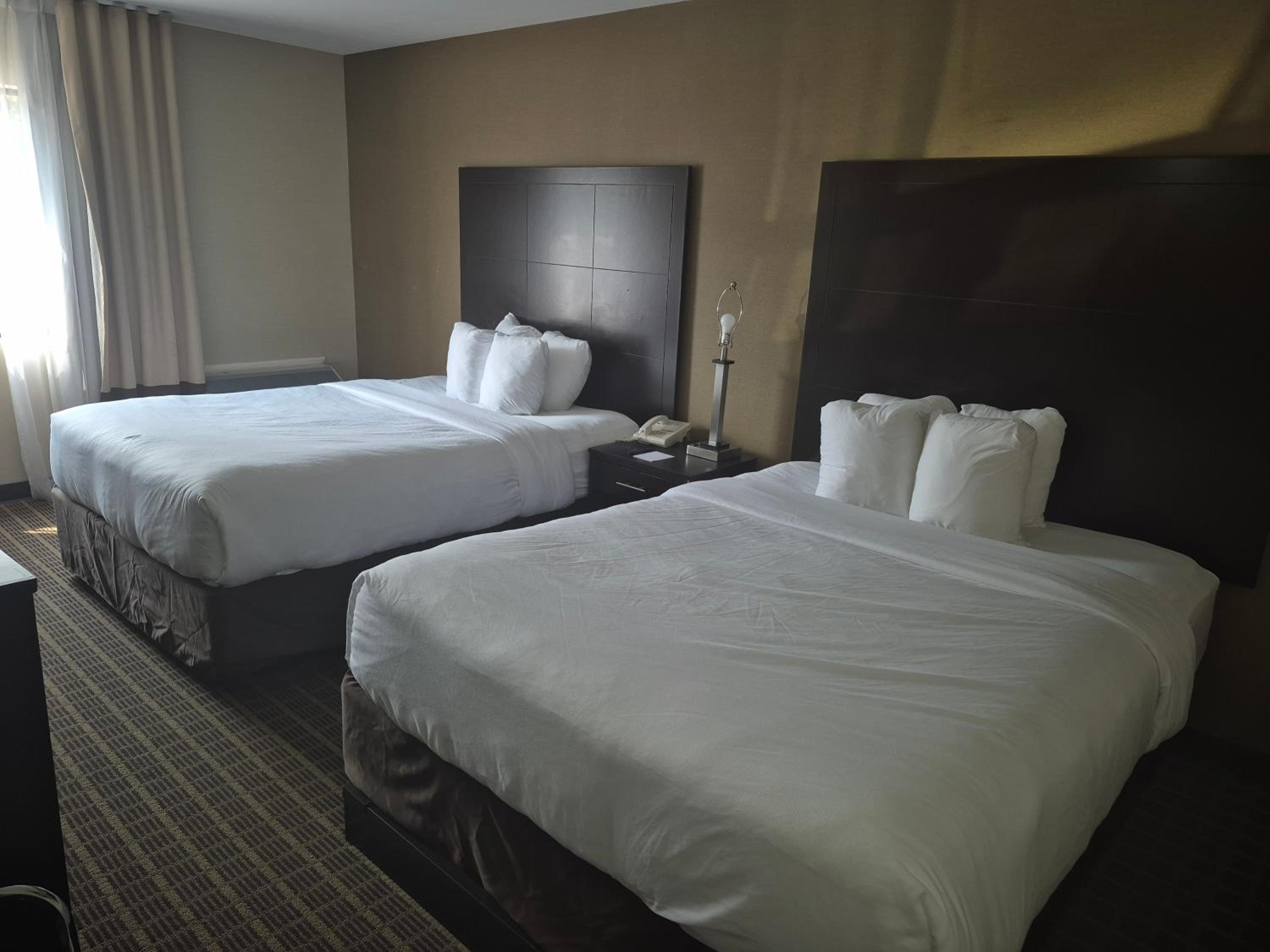 Quadruple Room with Two Queen Beds - Non Smoking/Pet Friendly - Photo 1