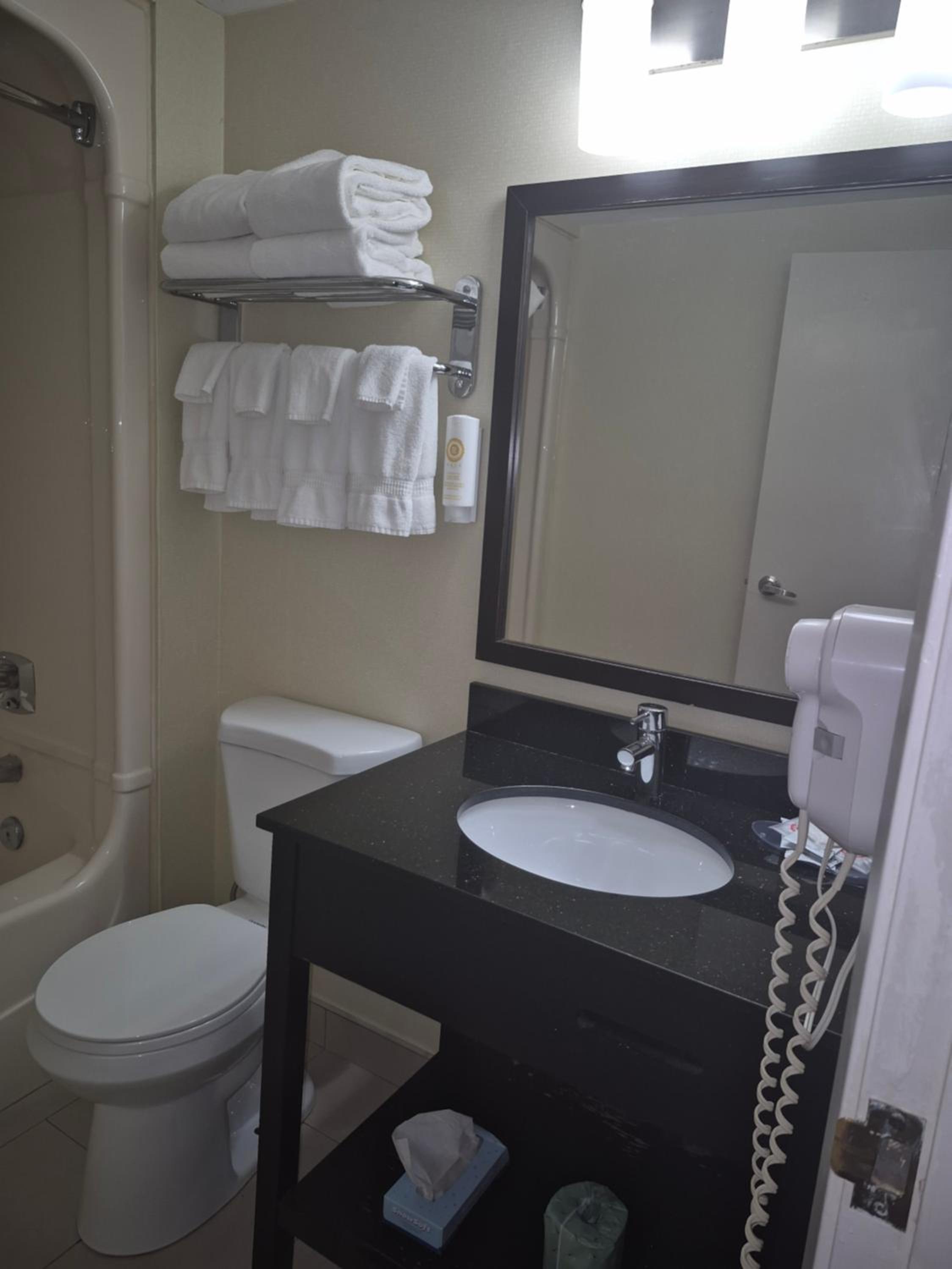 Quadruple Room with Two Queen Beds - Non Smoking/Pet Friendly - Photo 4