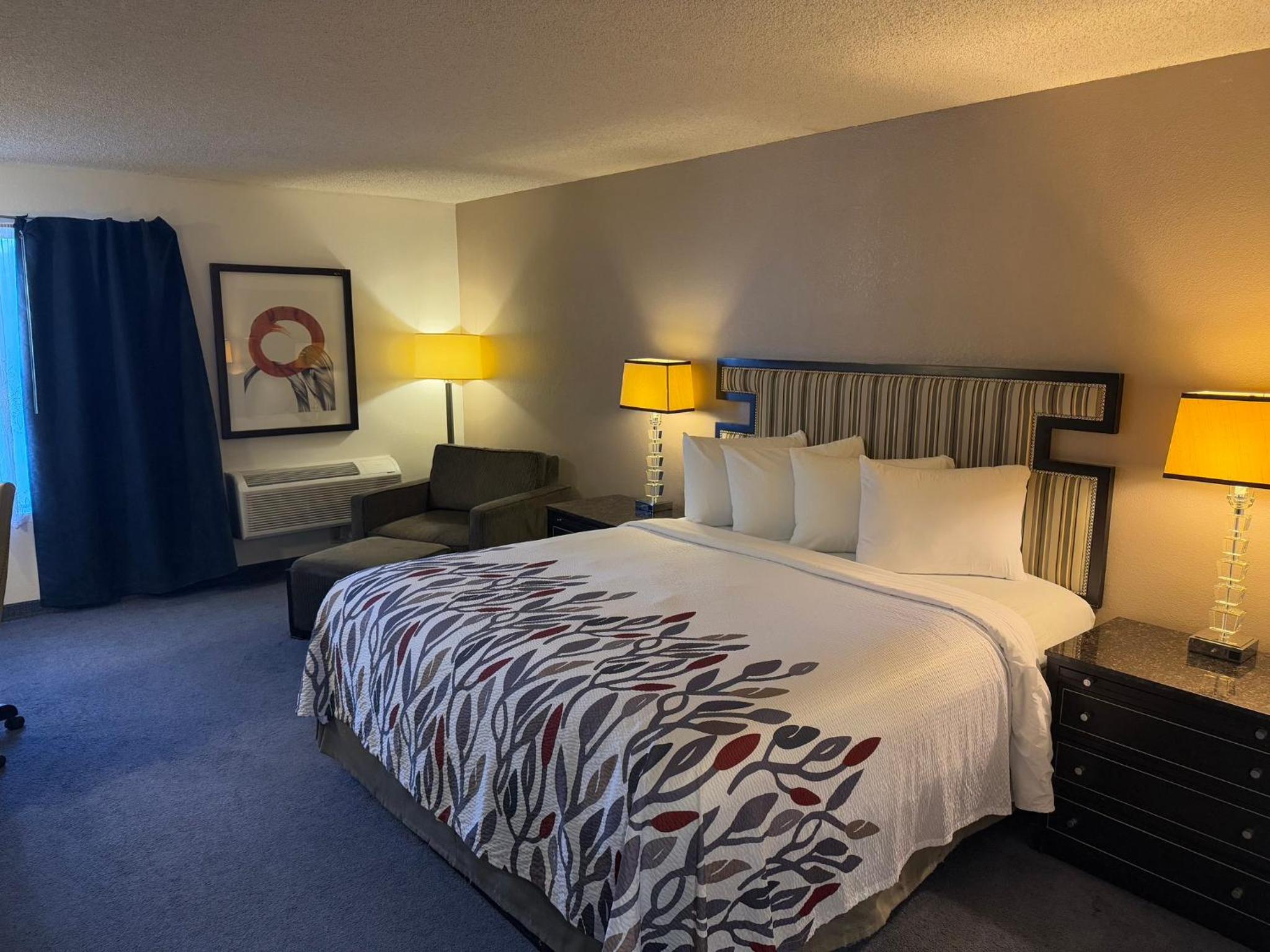 Superior King Room Non-Smoking photo 1