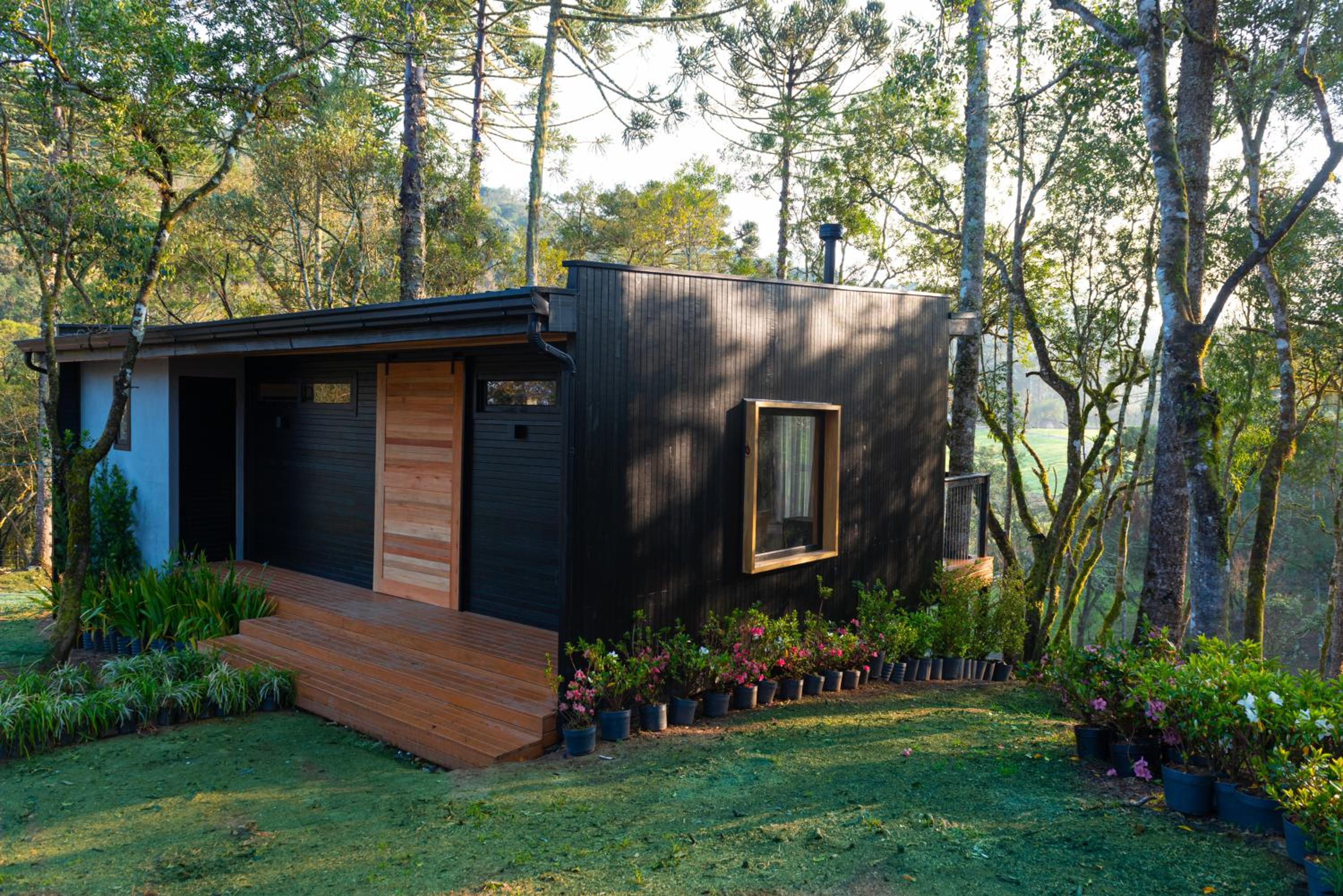Superior Villa photo 3