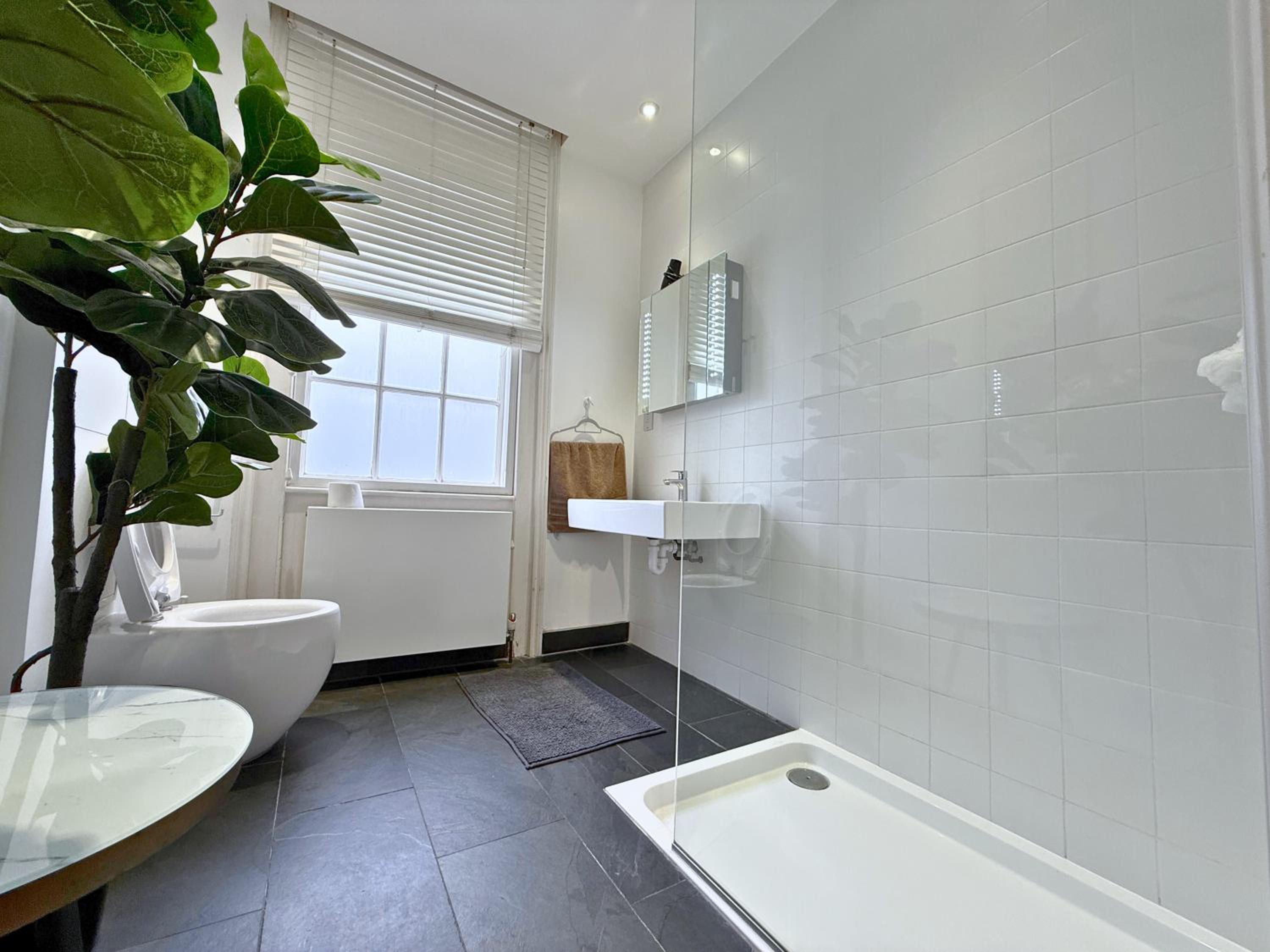 Superior One-Bedroom Apartment photo 3
