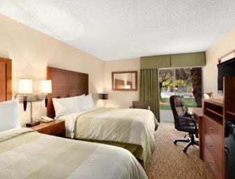 Queen Room with Two Queen Beds - Non-Smoking photo 3