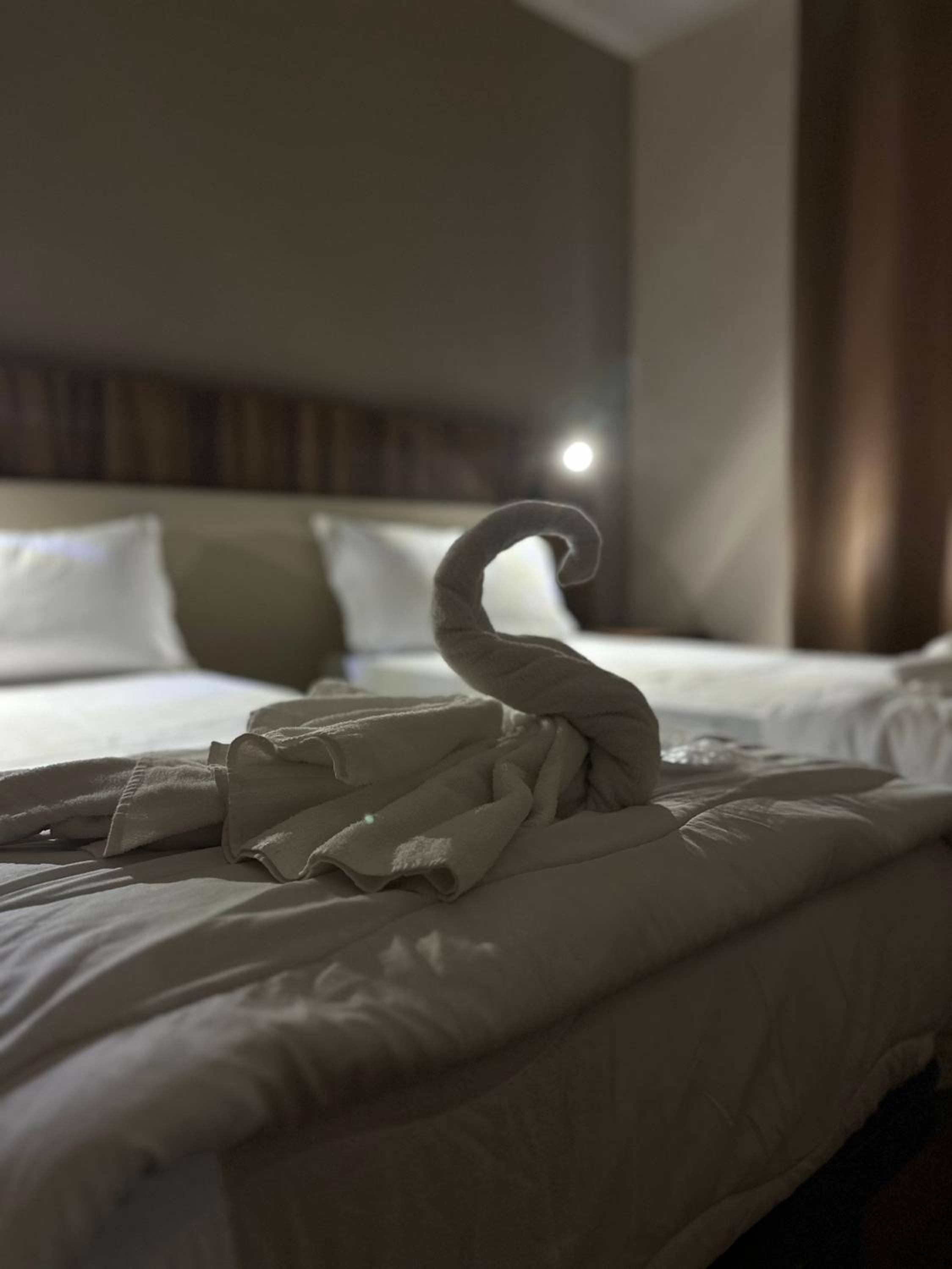 Superior Triple Room photo 3