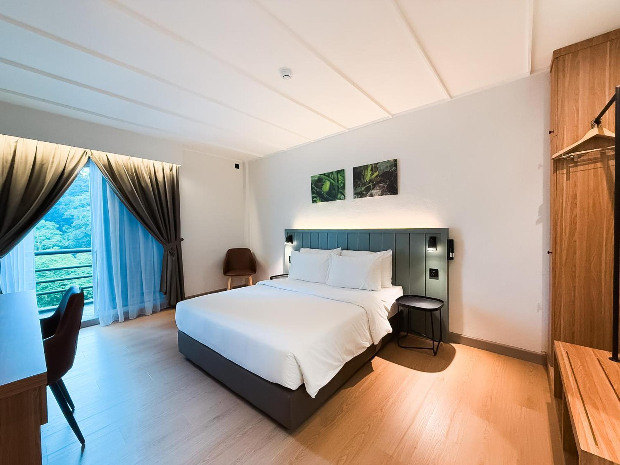 Premium King Room photo 3