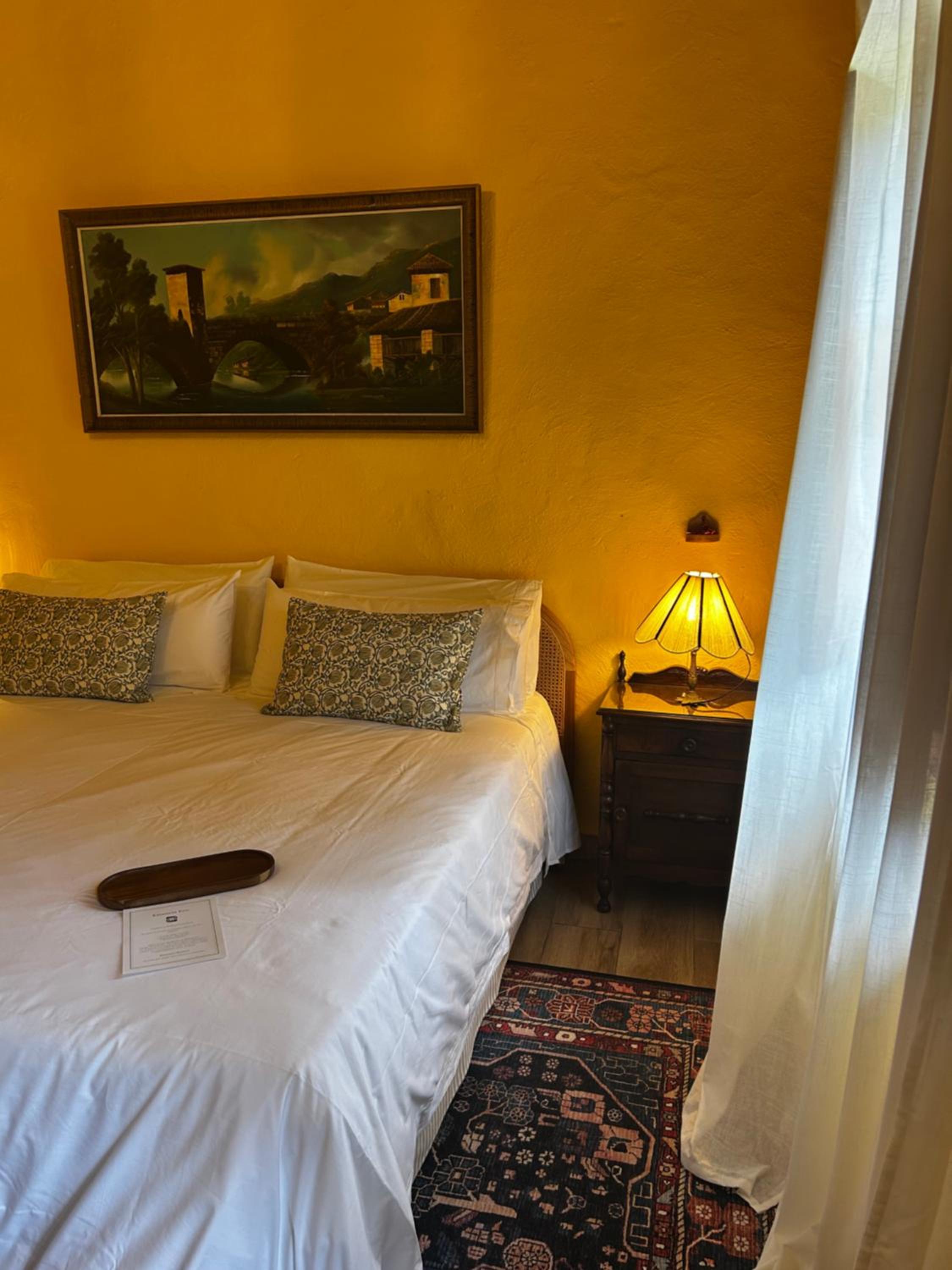 Double or Twin Room with Terrace photo 3